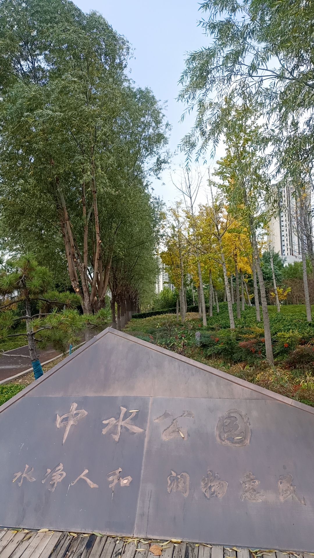 南三环中水公园旅行图片 2