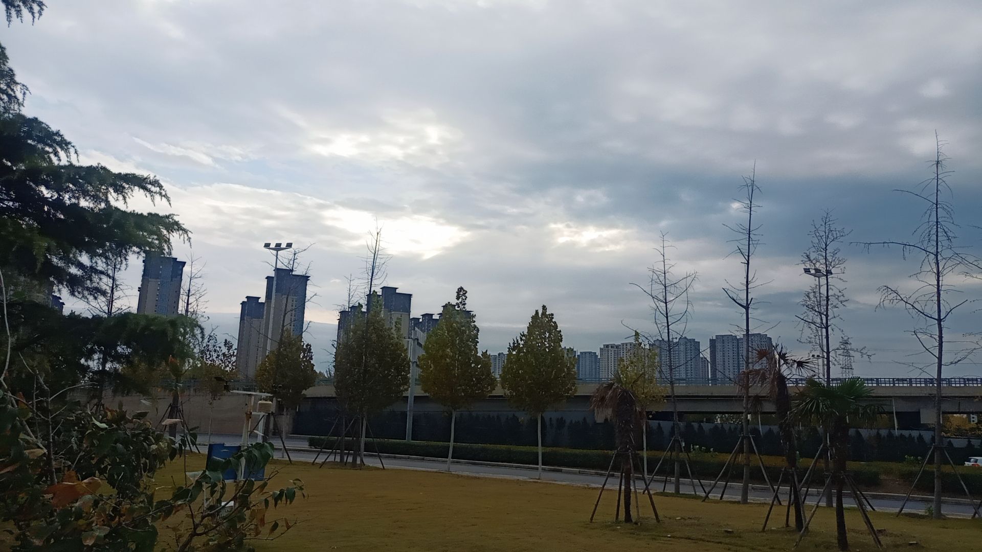 南三环中水公园旅行图片 1