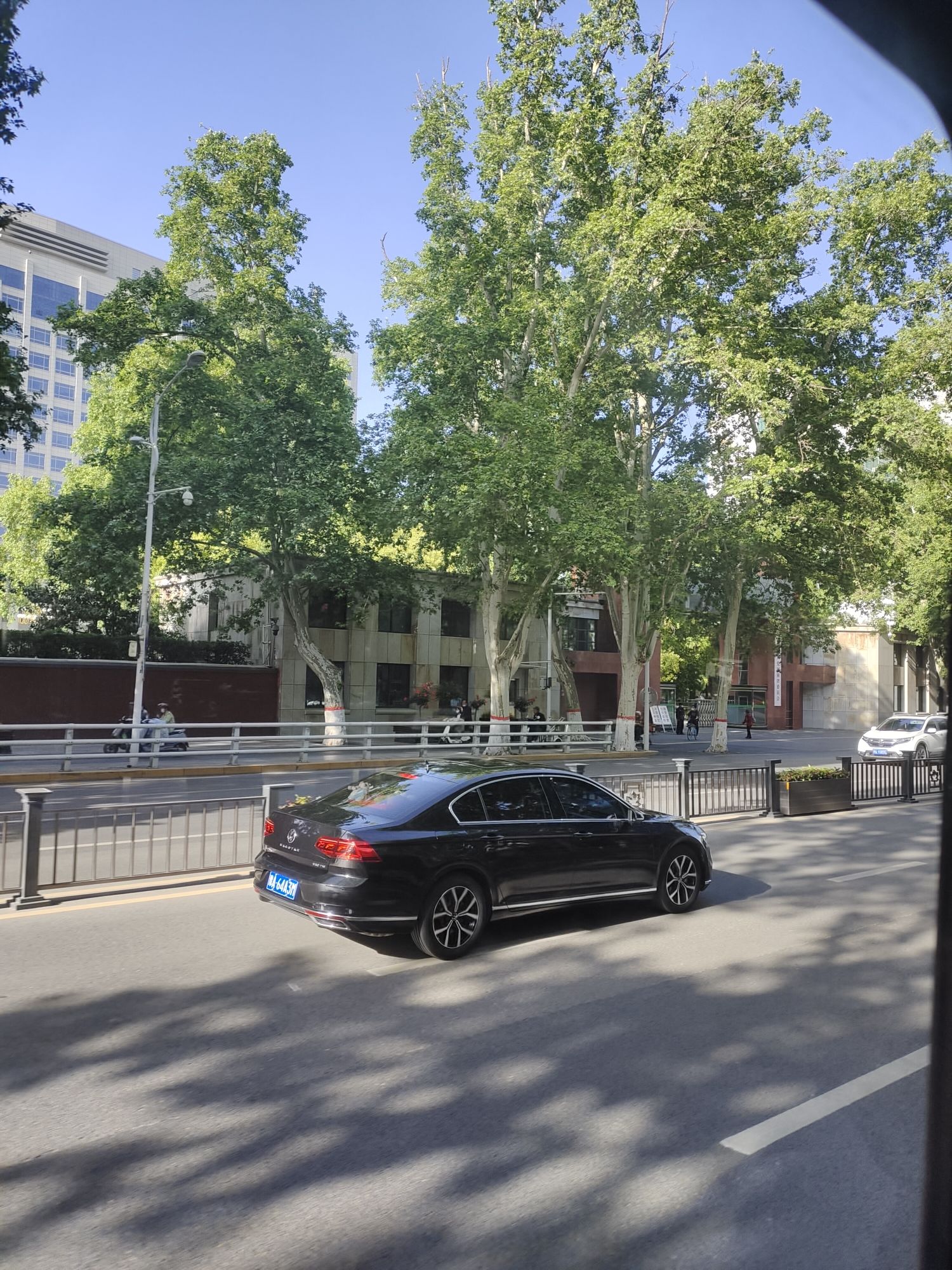 南三环中水公园旅行图片 1