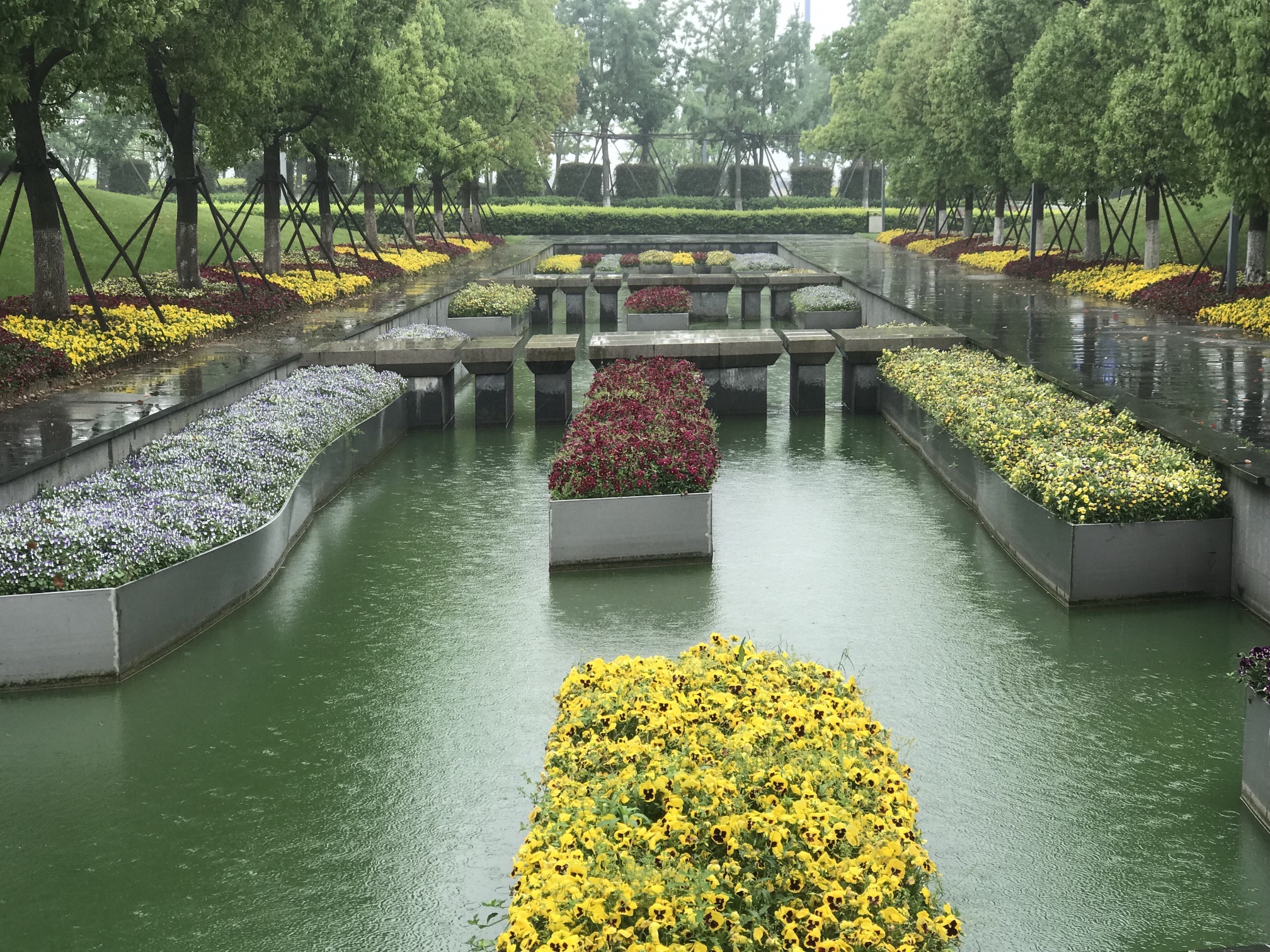 杭州湾新区观塘湖公园旅行图片 2