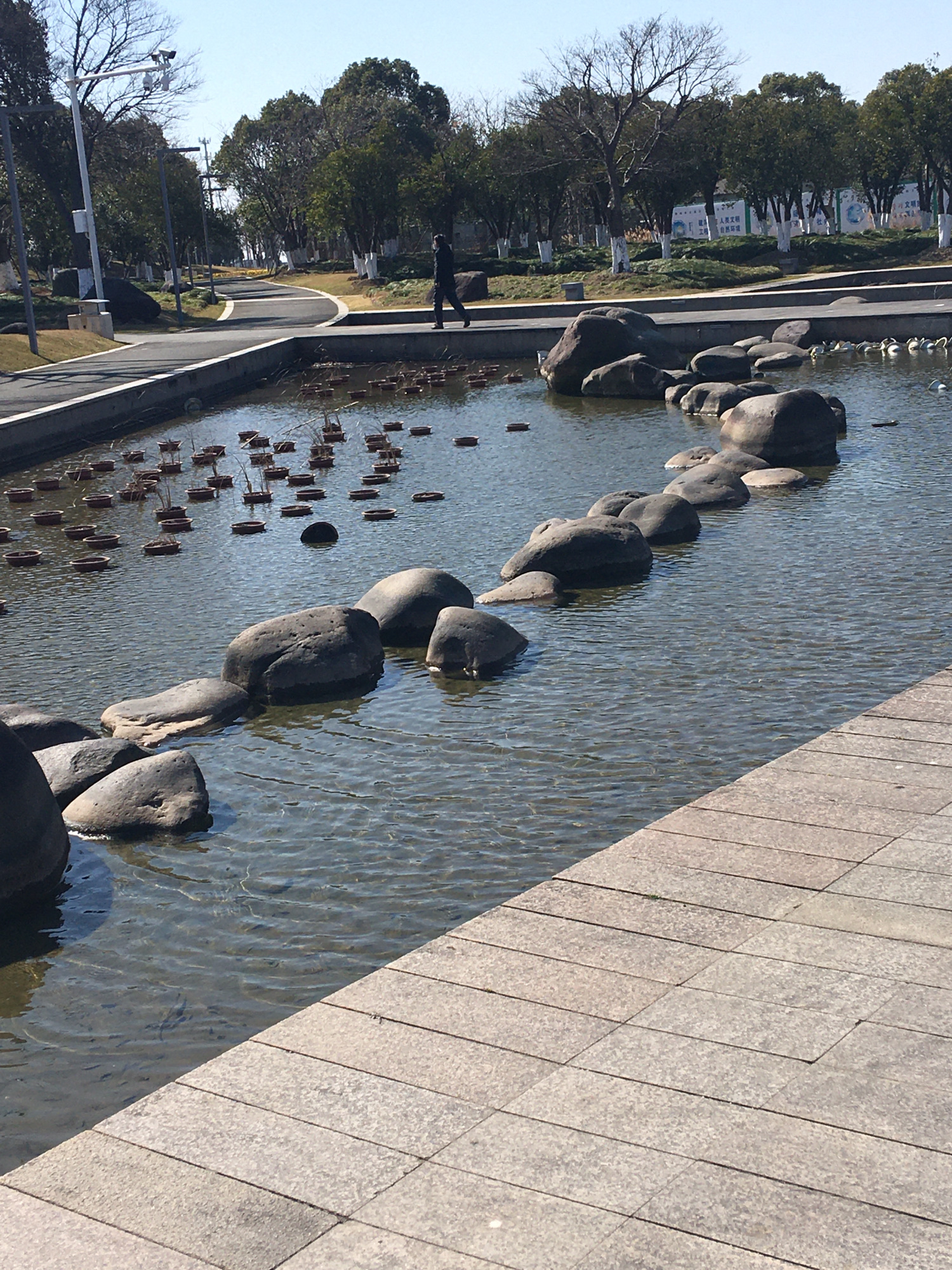 杭州湾新区观塘湖公园旅行图片 2
