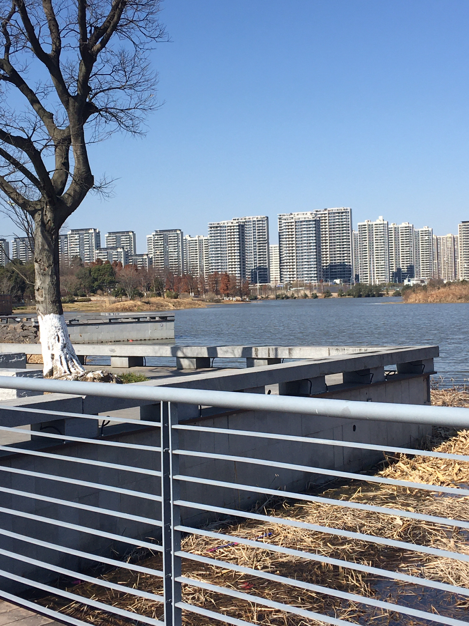 杭州湾新区观塘湖公园旅行图片 1