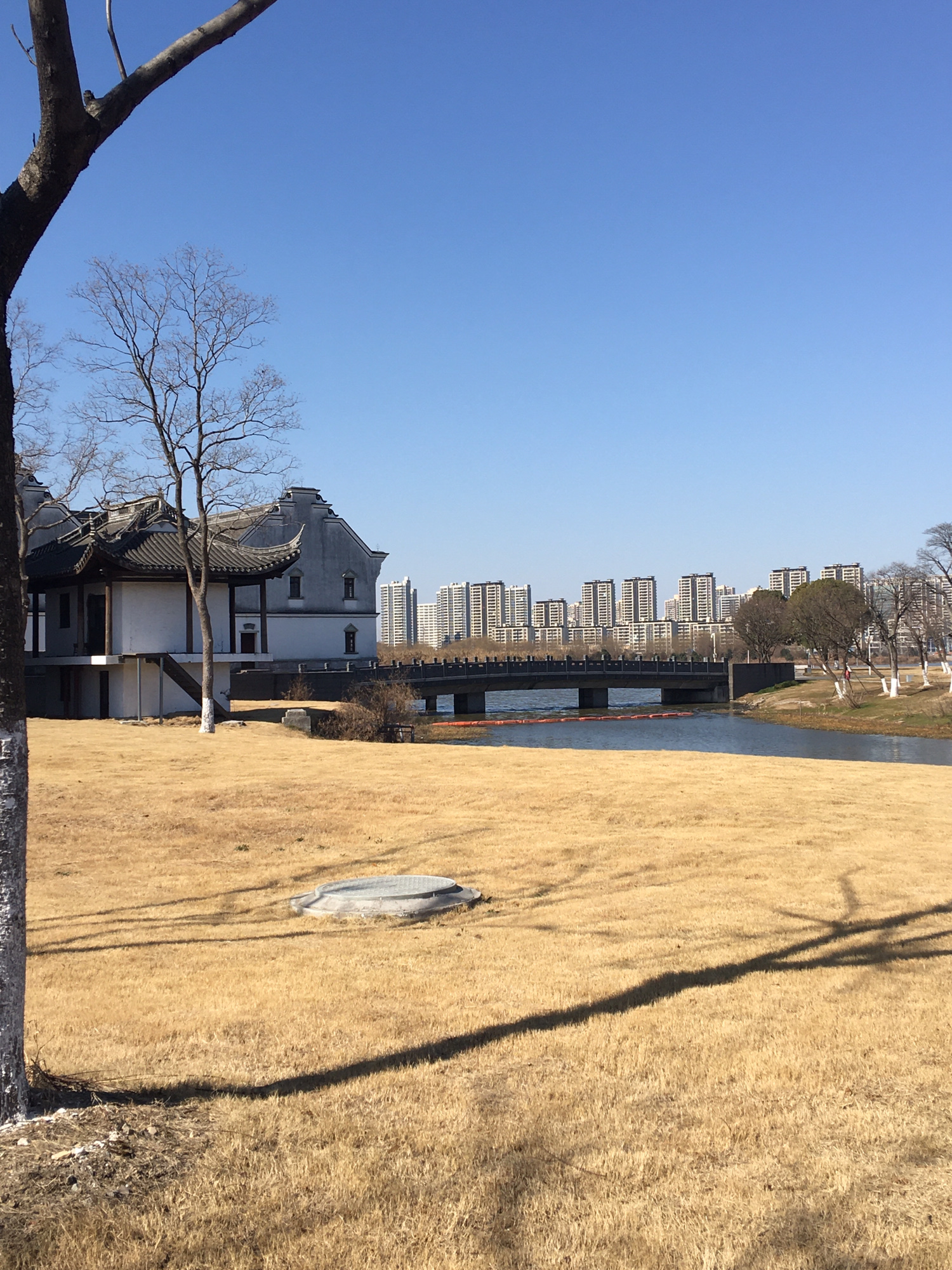 杭州湾新区观塘湖公园旅行图片 3
