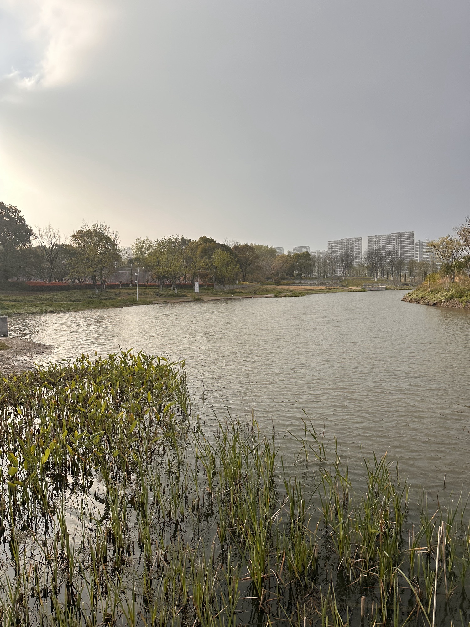 杭州湾新区观塘湖公园旅行图片 3