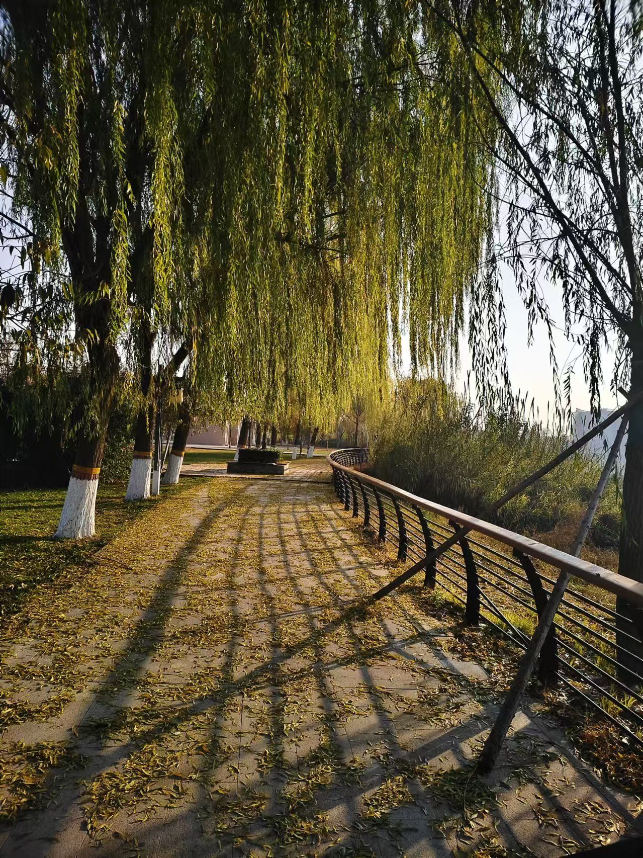 滑县东湖风景区旅行图片 1