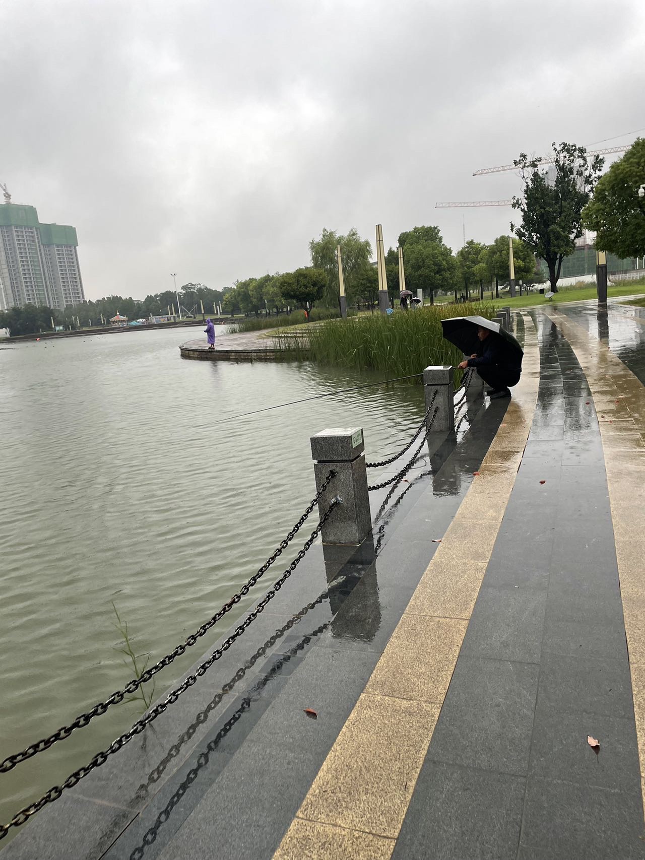 月湖公园旅行图片 1