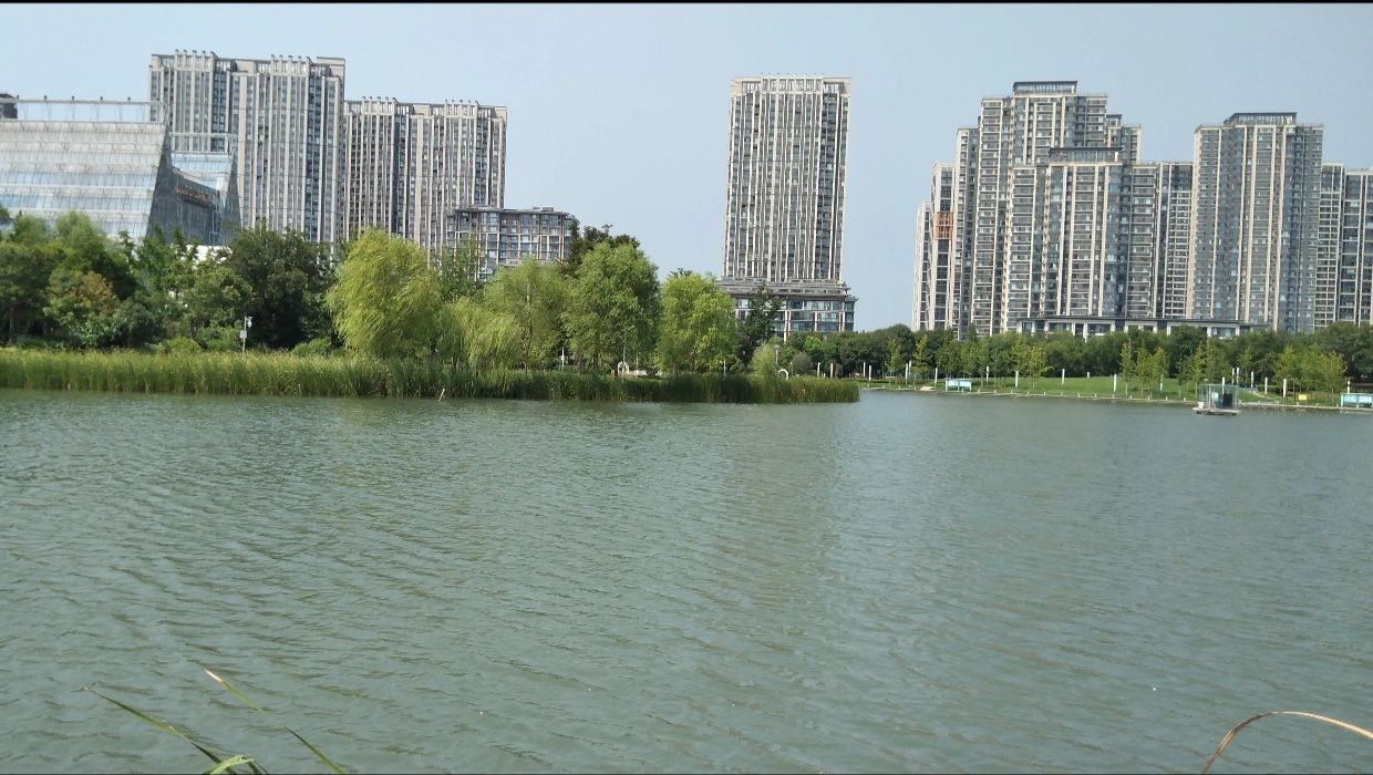 月湖公园旅行图片 1