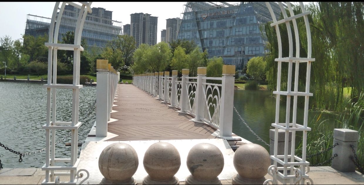 月湖公园旅行图片 2