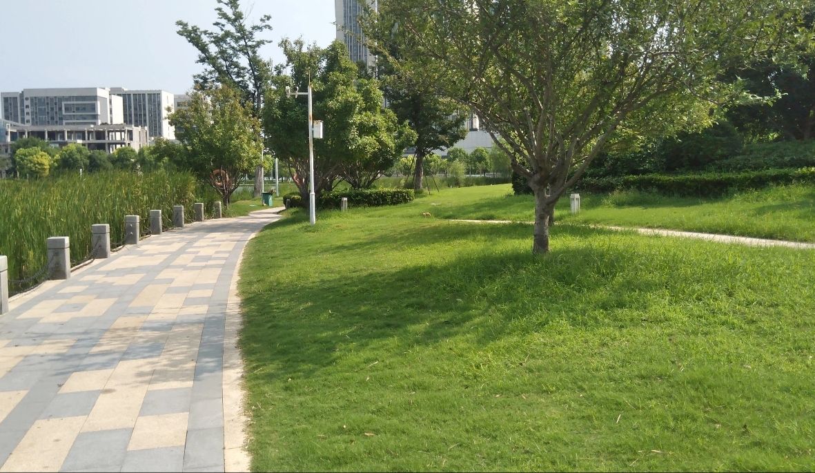 月湖公园旅行图片 3