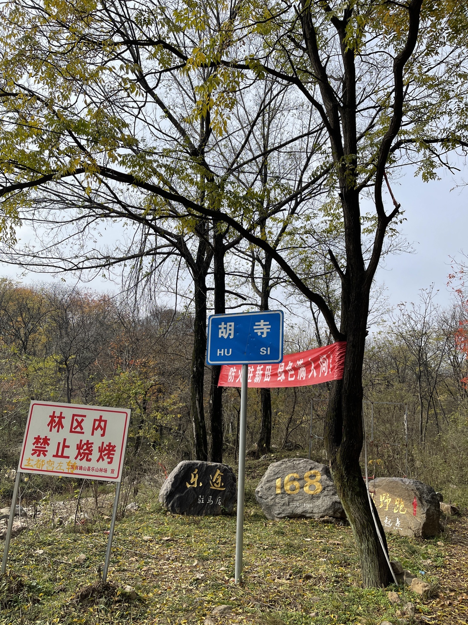 玄都宫寨旅行图片 1
