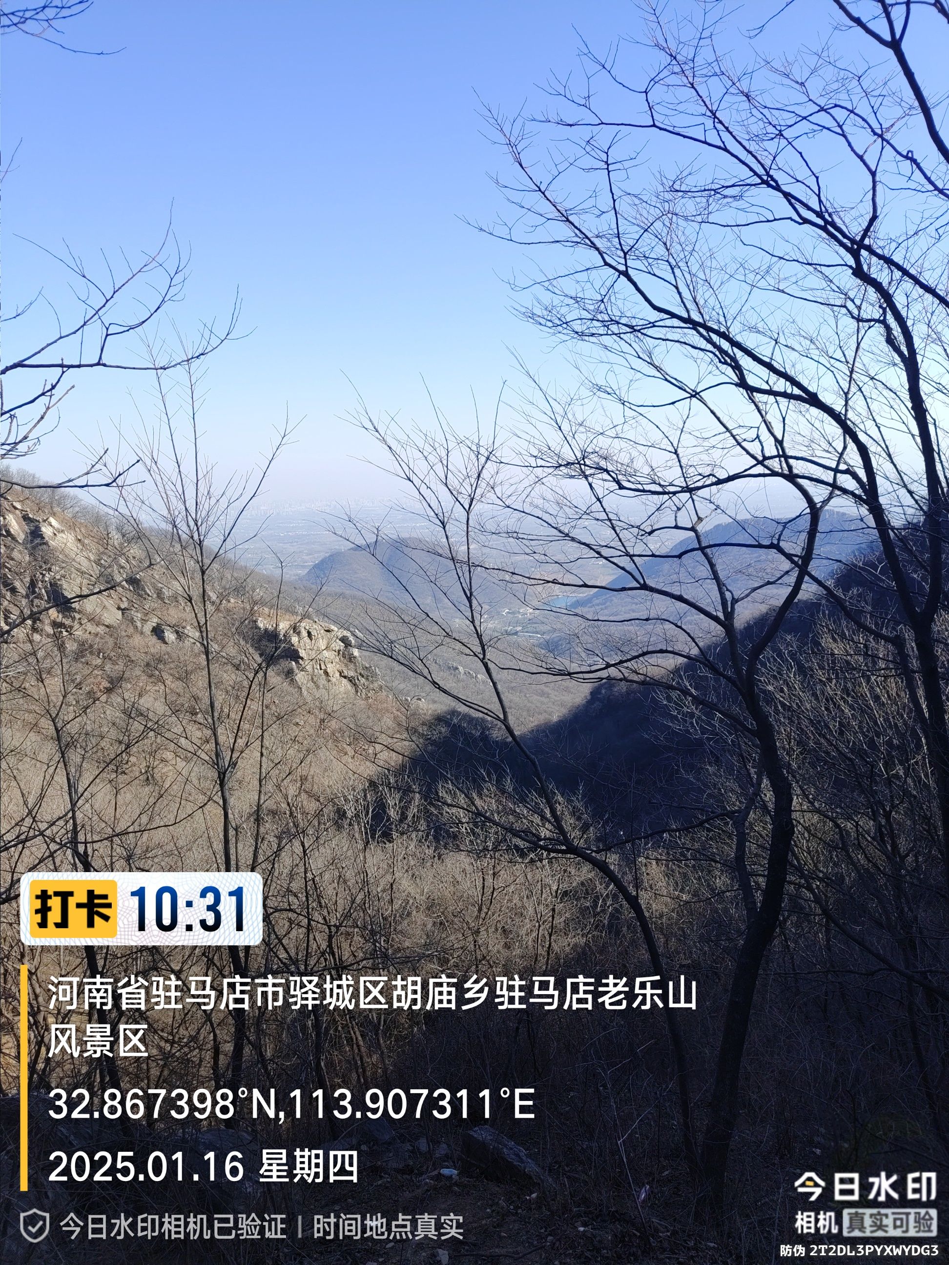 玄都宫寨旅行图片 3