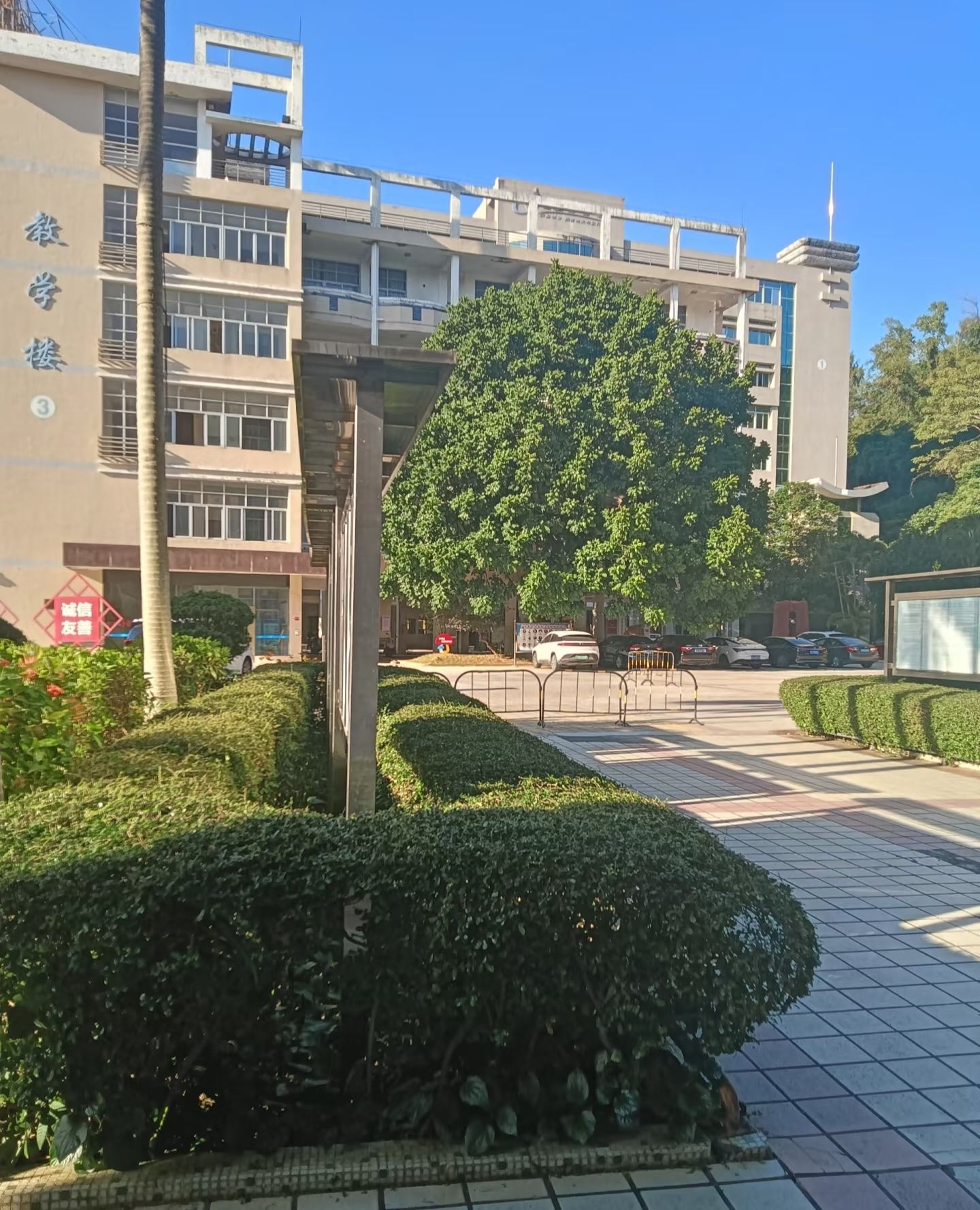 阳江开放大学