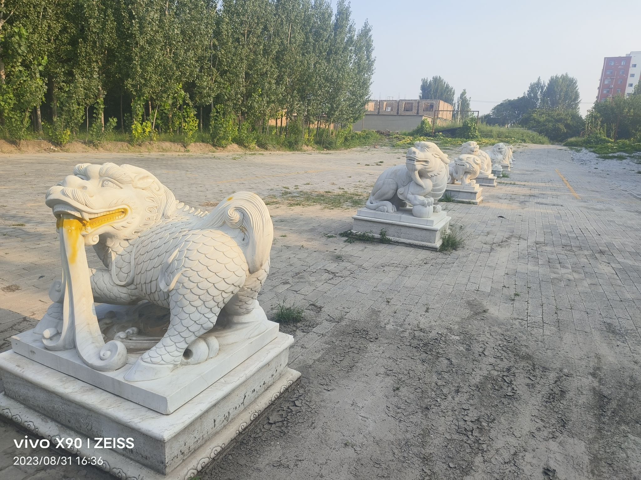 齐大夫鲍叔牙墓旅行图片 3