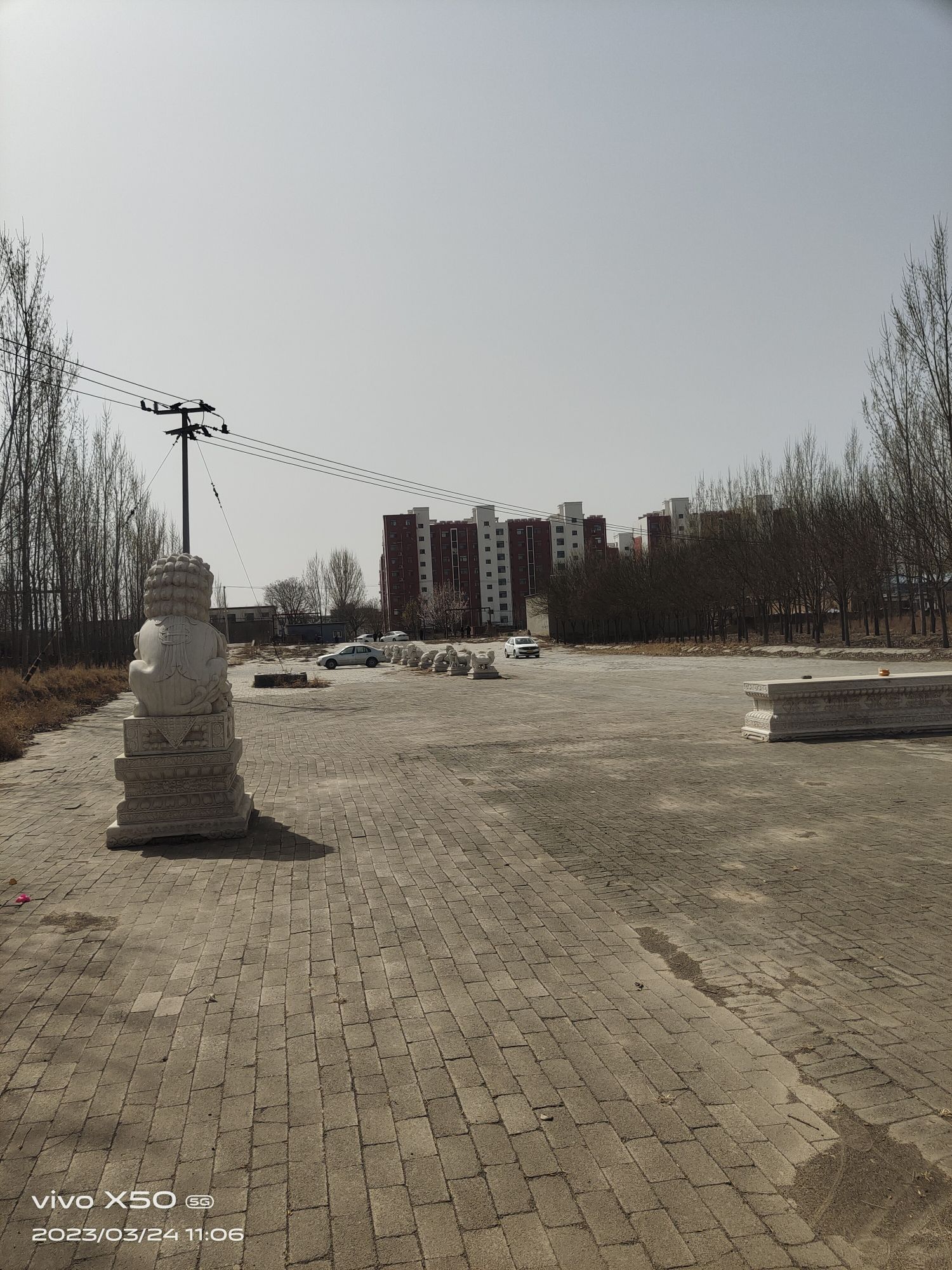 齐大夫鲍叔牙墓旅行图片 2