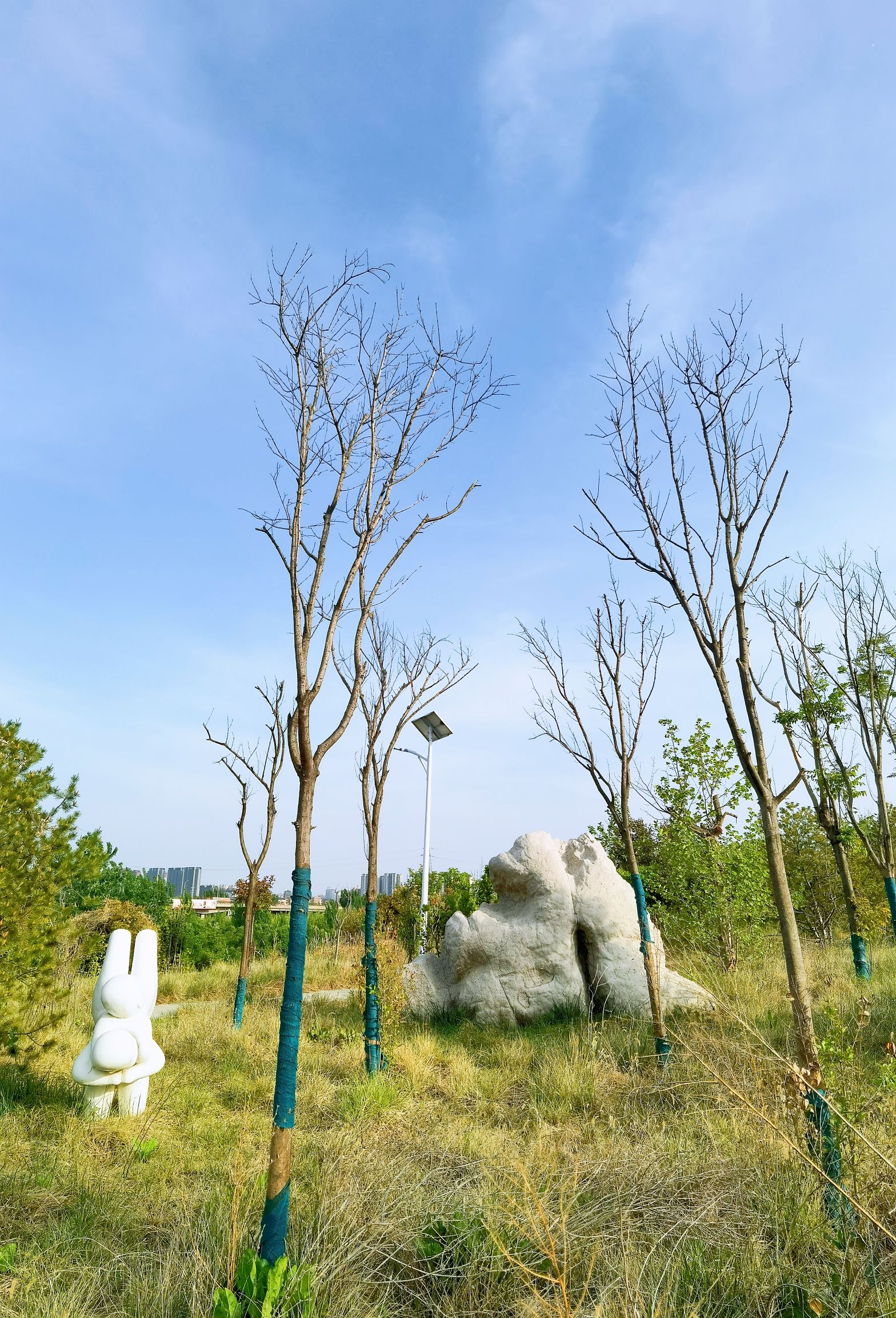 房镇体育公园旅行图片 3