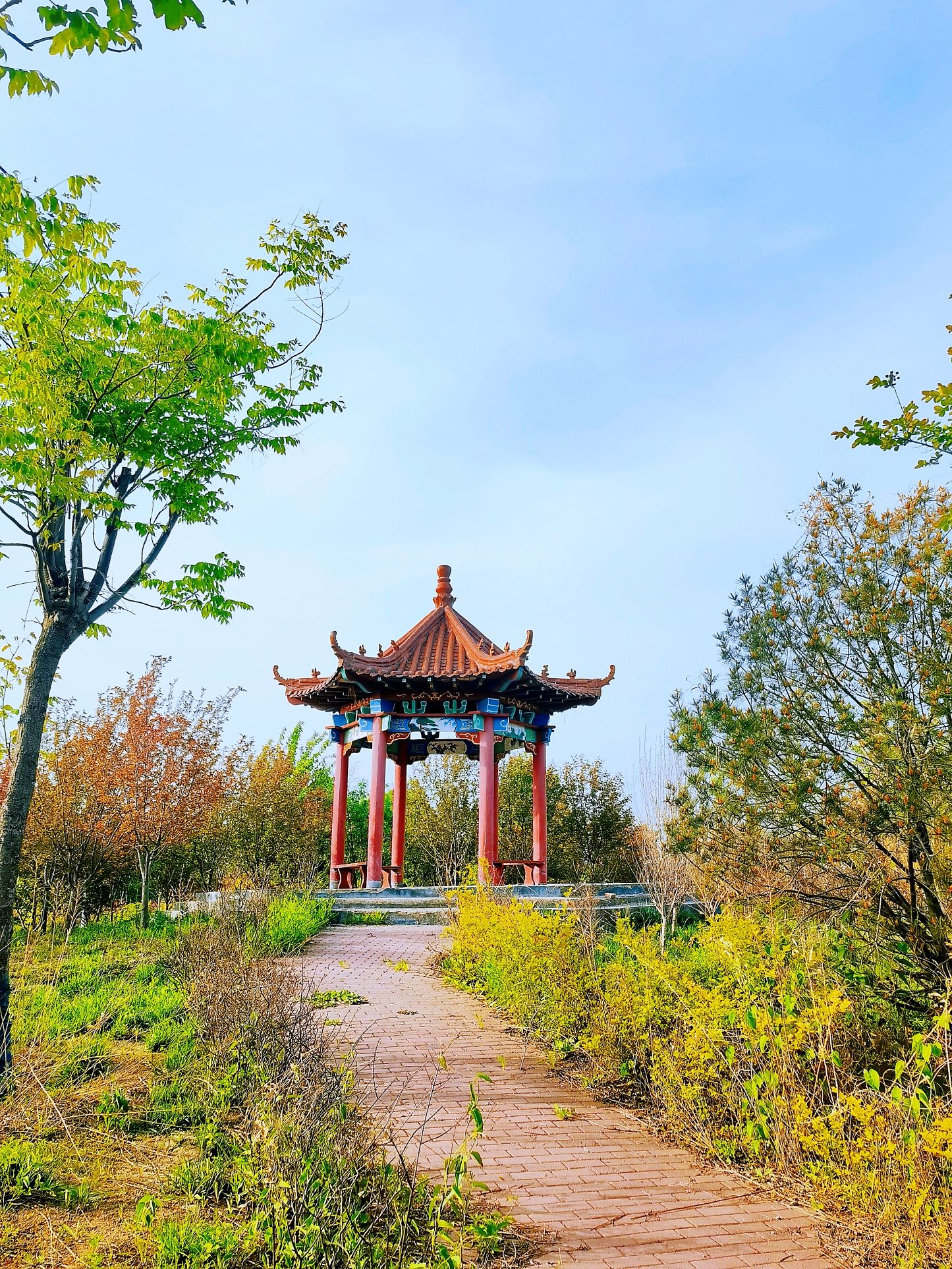 房镇体育公园旅行图片 2