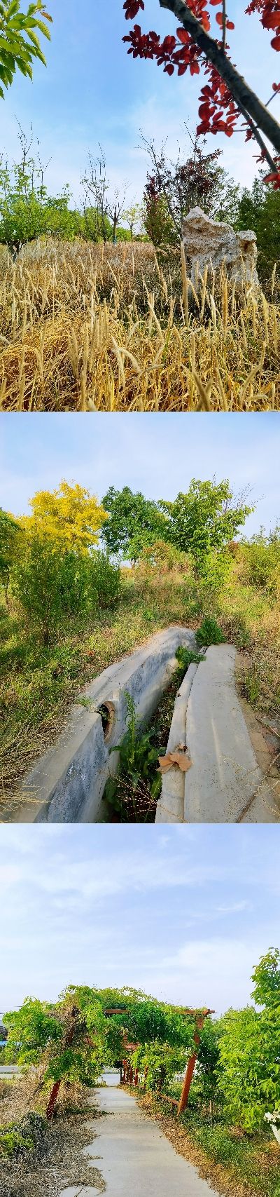 房镇体育公园旅行图片 1