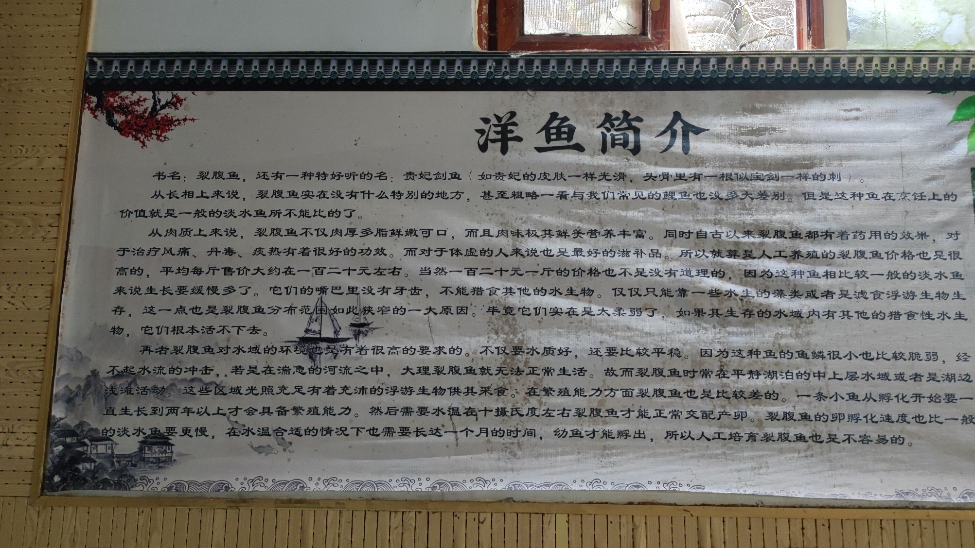 神奇鱼泉旅行图片 3