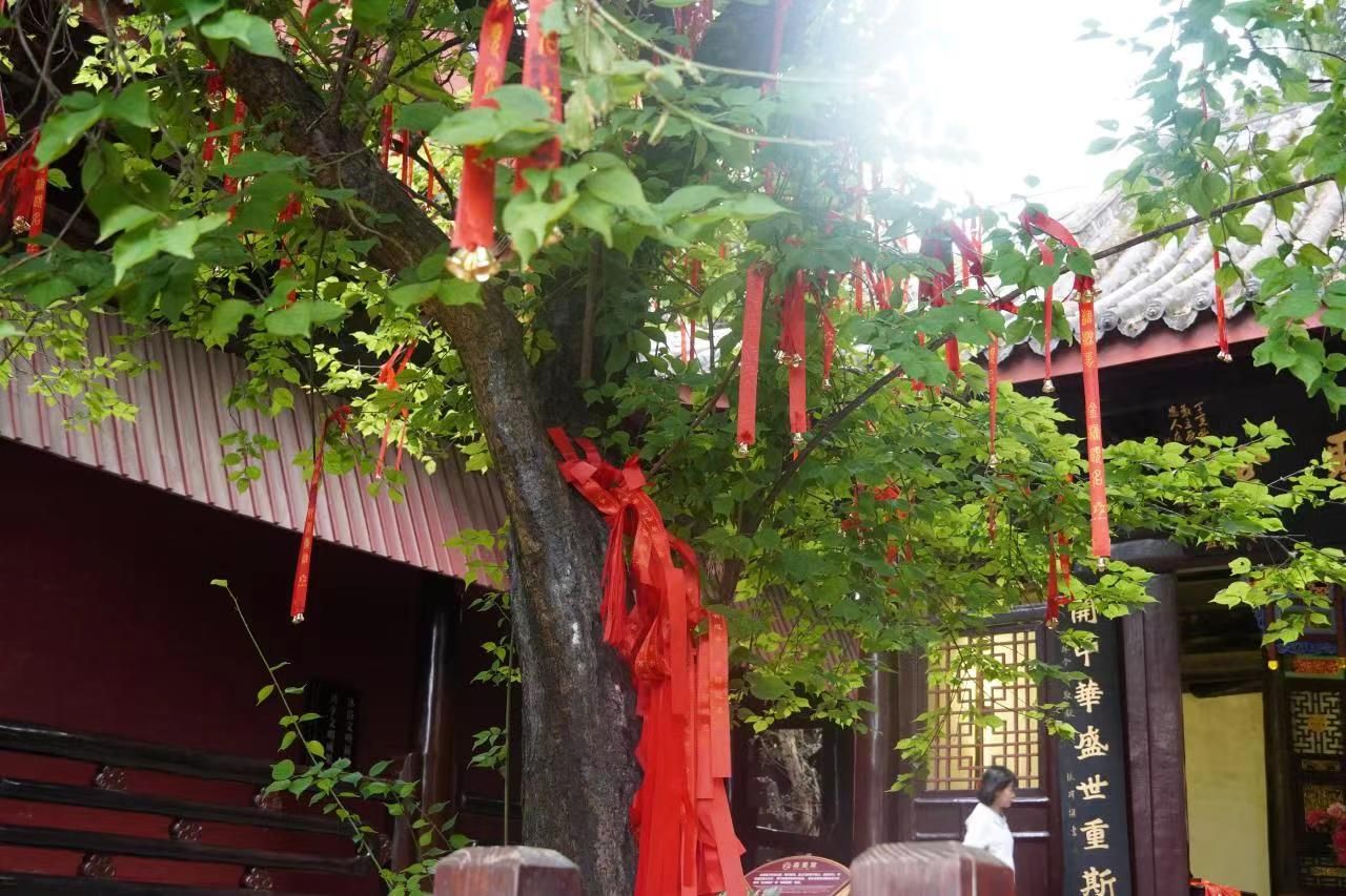 菩萨庙旅行图片 2