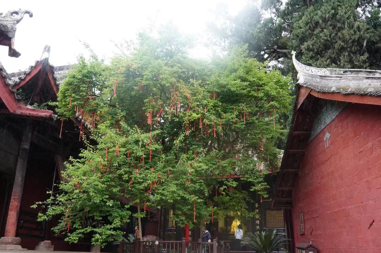菩萨庙旅行图片 1