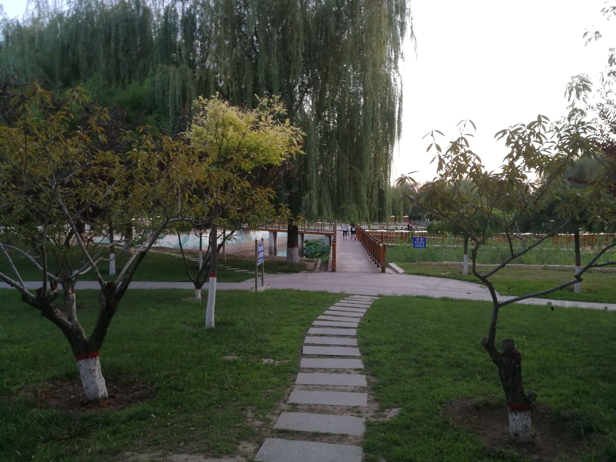明湖公园旅行图片 3