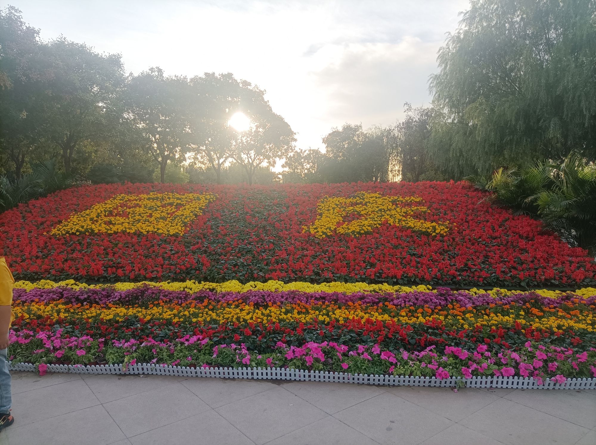 明湖公园旅行图片 3