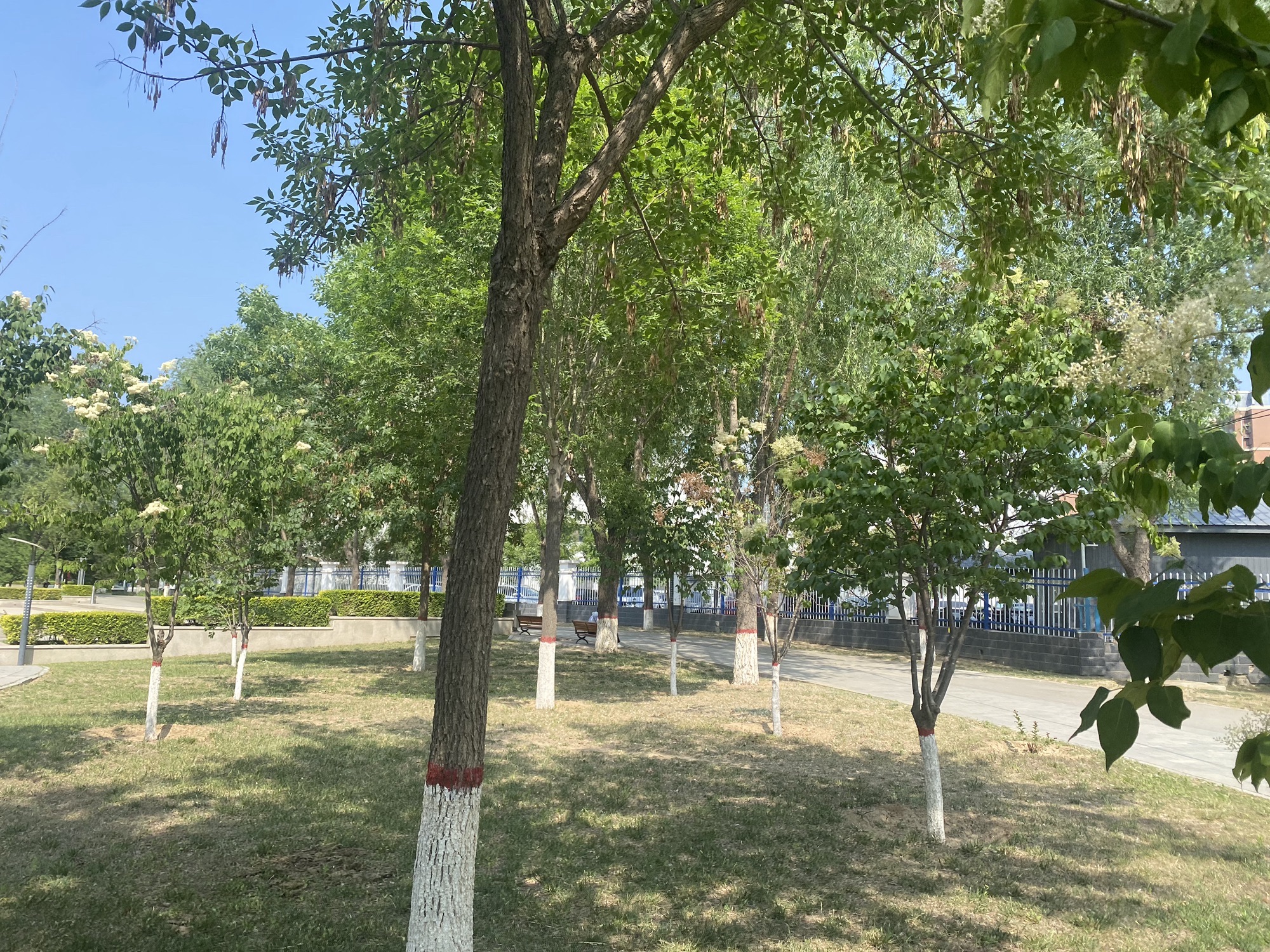 明湖公园旅行图片 3