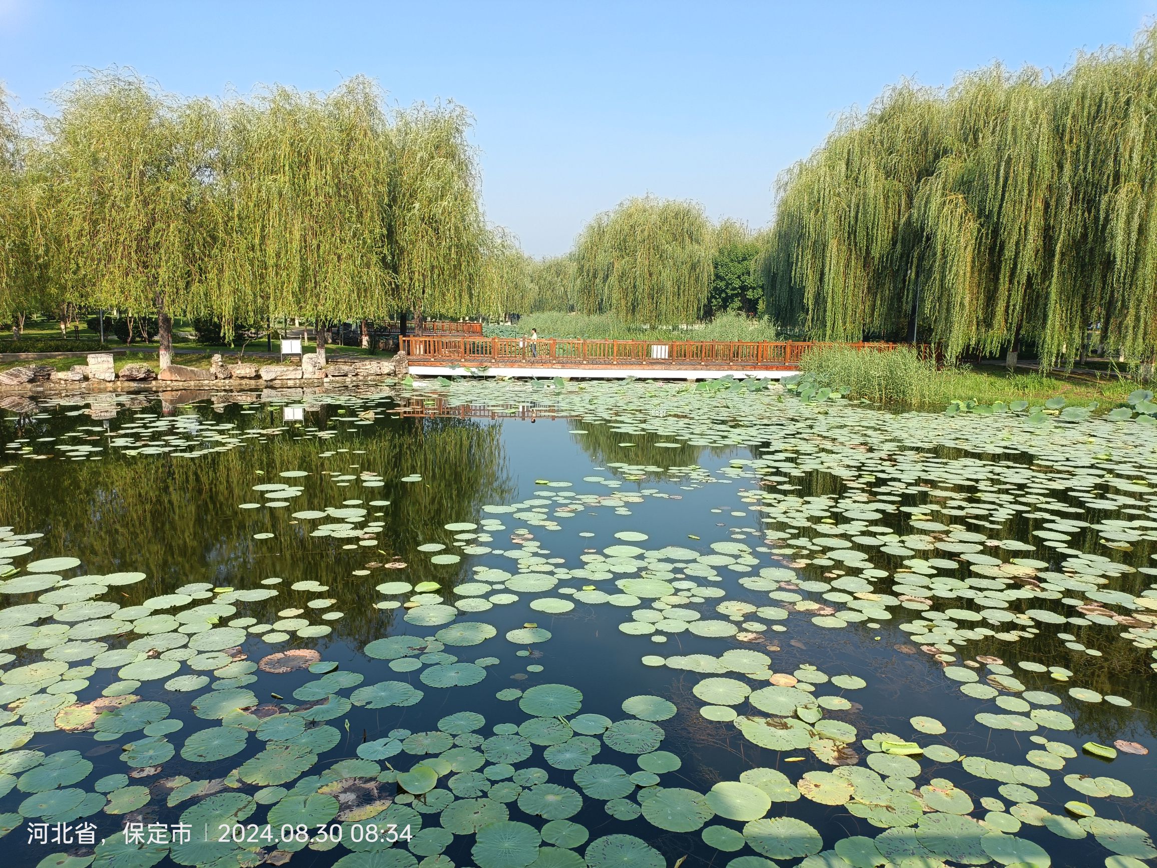 明湖公园旅行图片 3