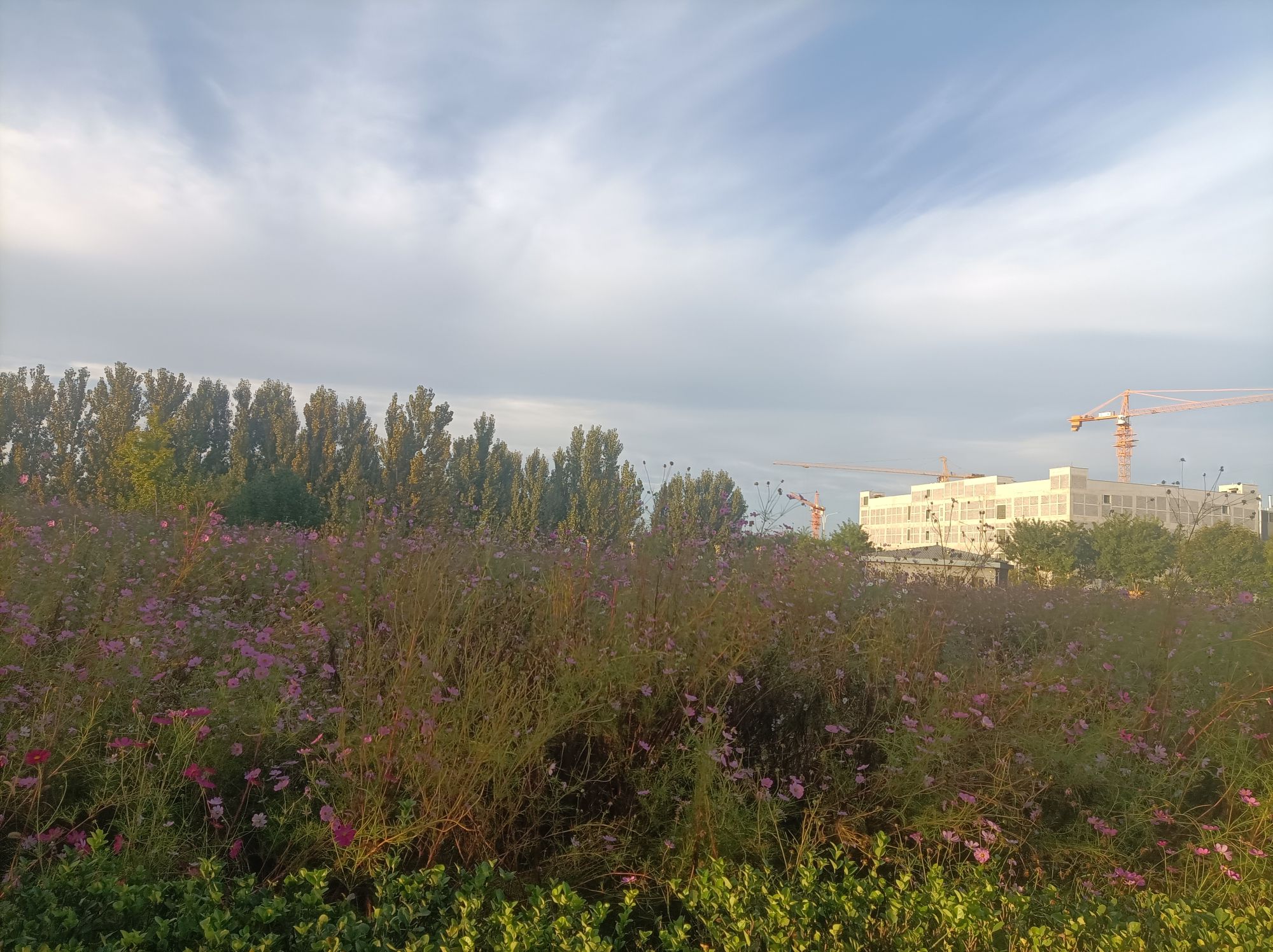 明湖公园旅行图片 2