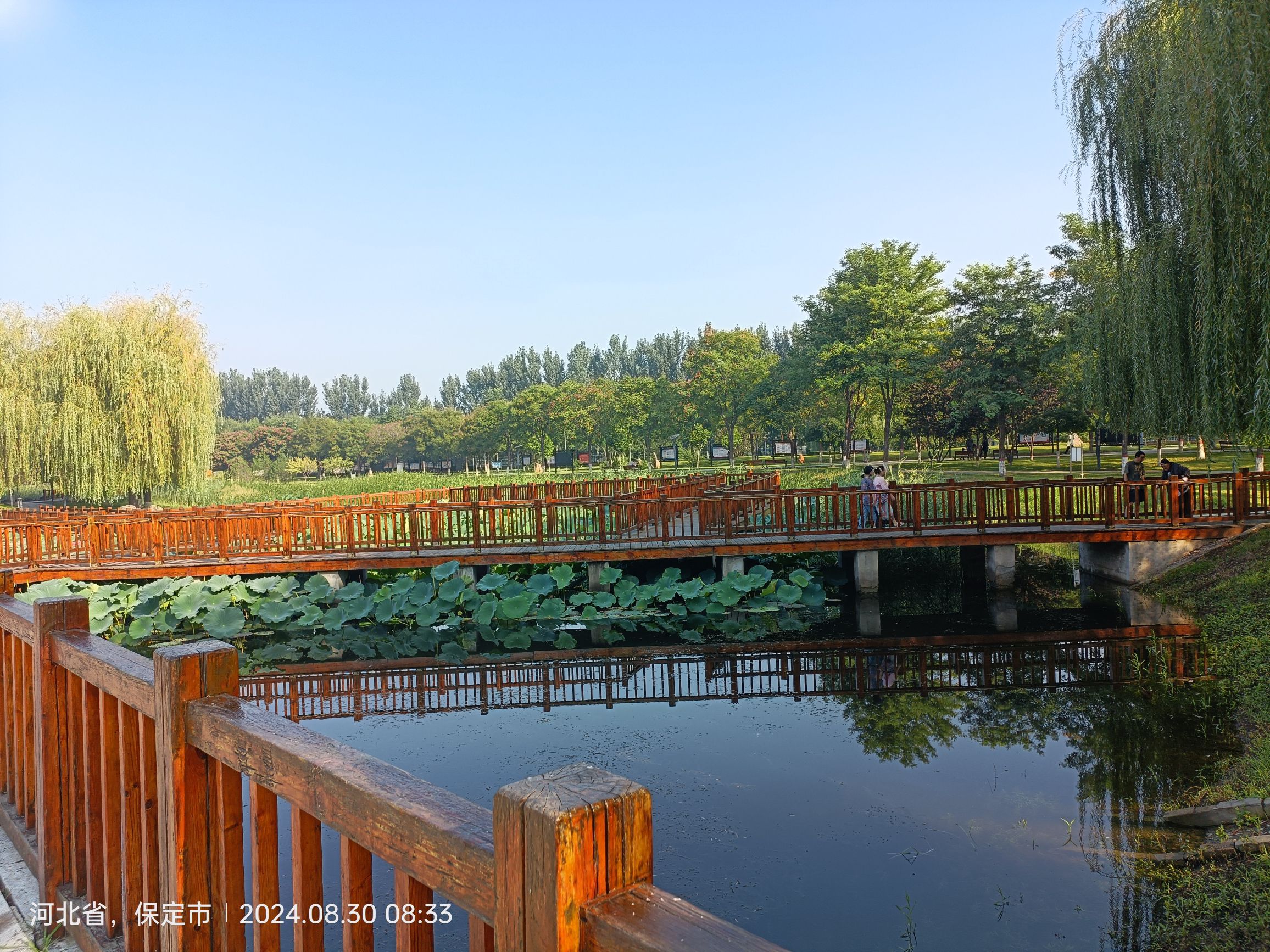 明湖公园旅行图片 2