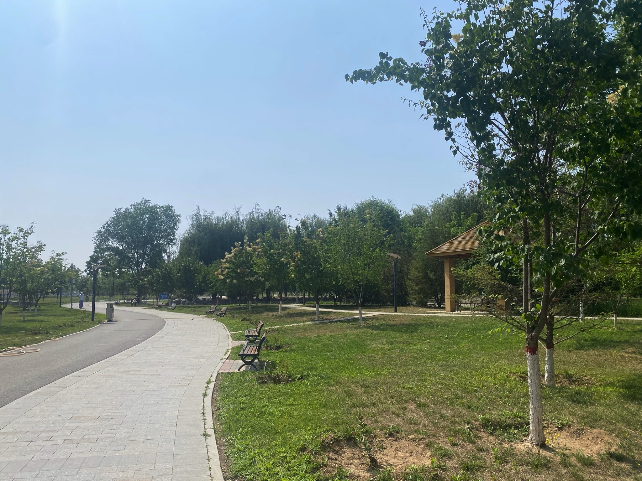 明湖公园旅行图片 1