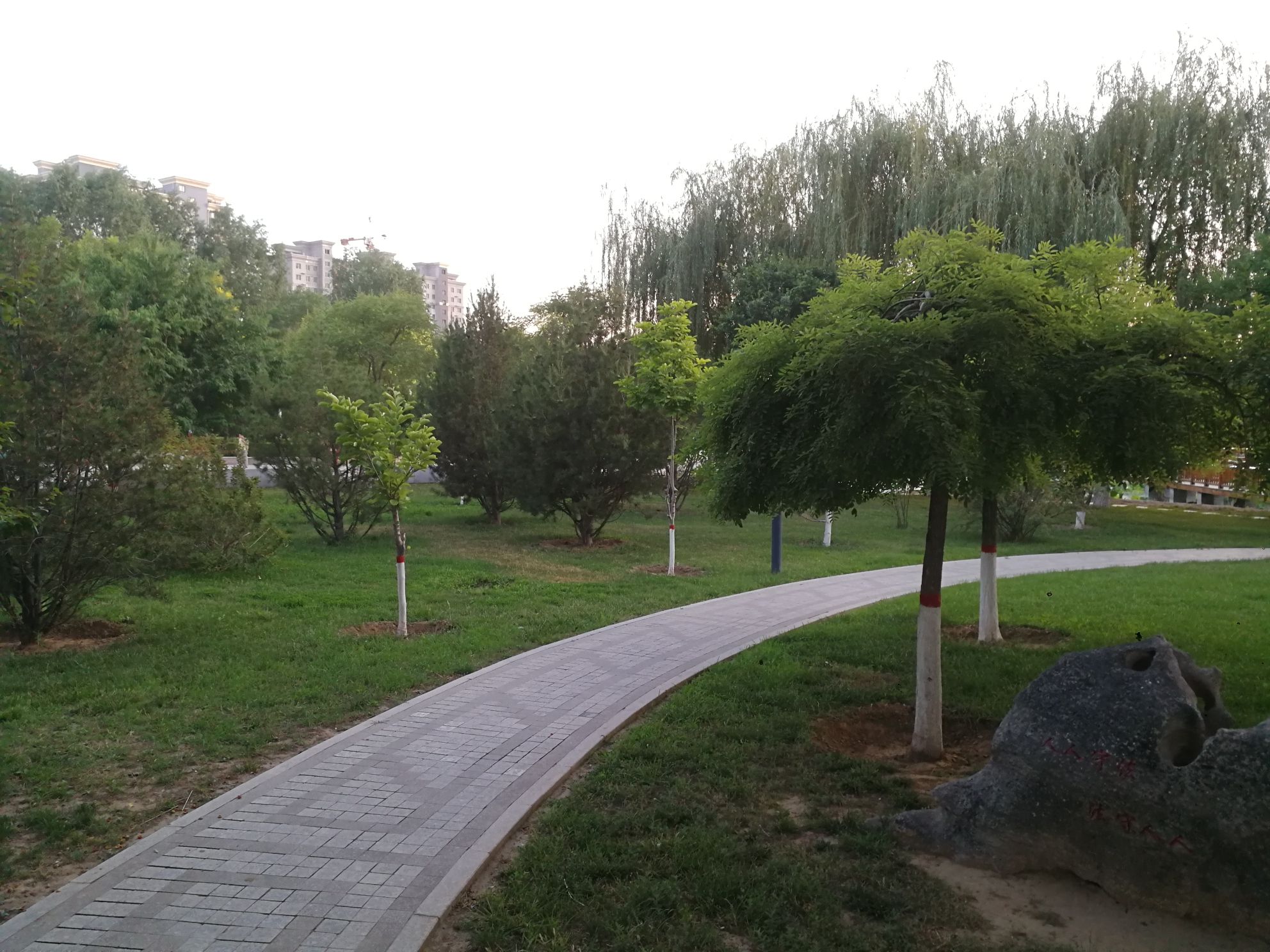 明湖公园旅行图片 2
