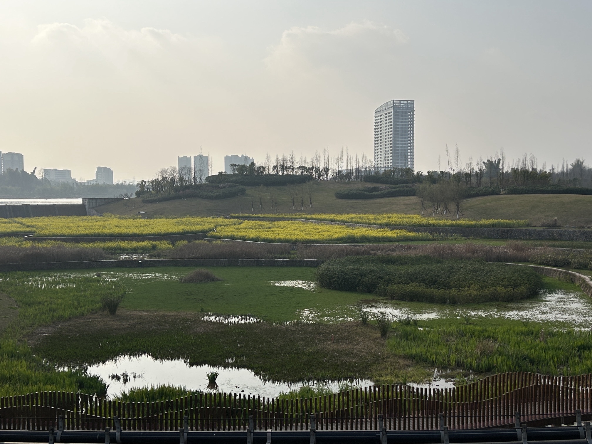 龙湖湿地公园旅行图片 2