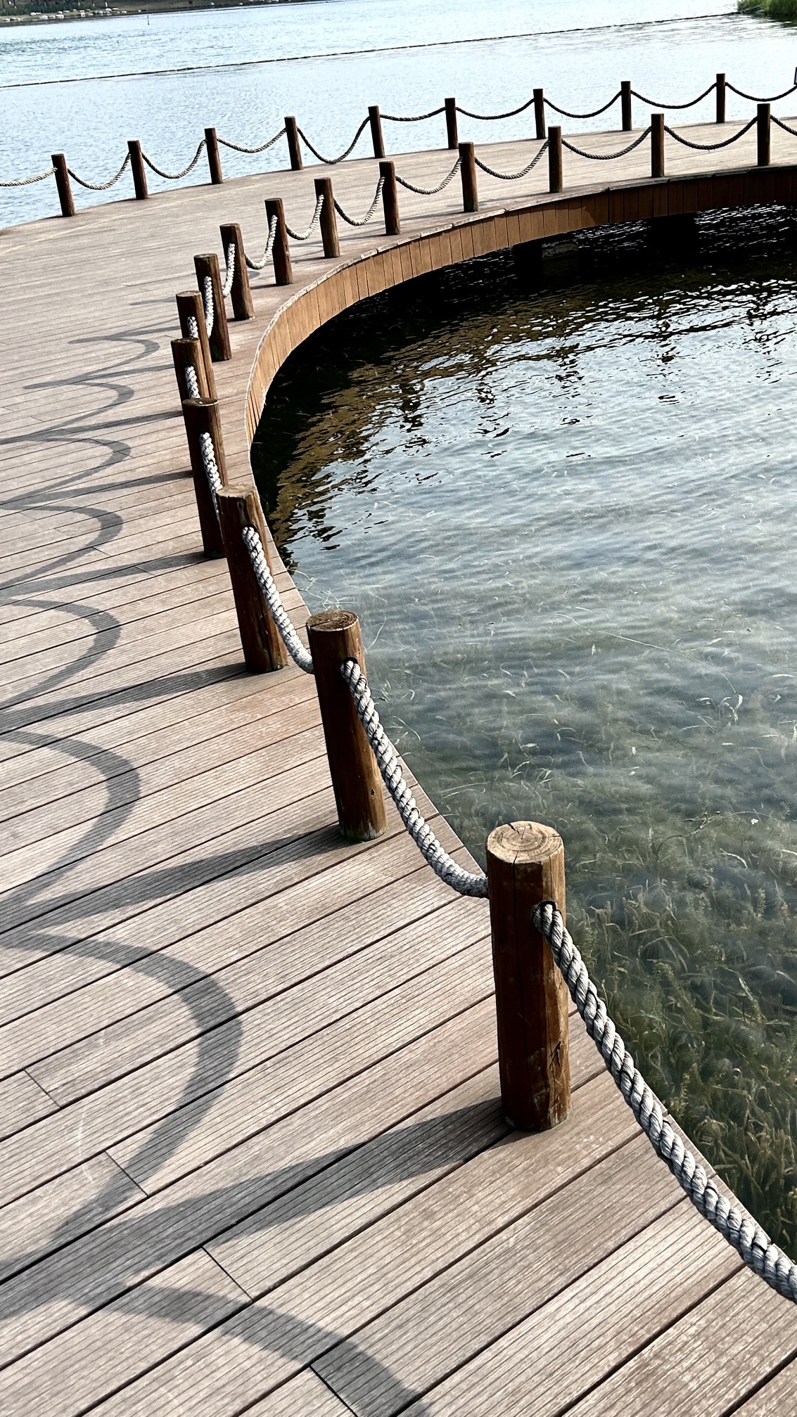 龙湖湿地公园旅行图片 3