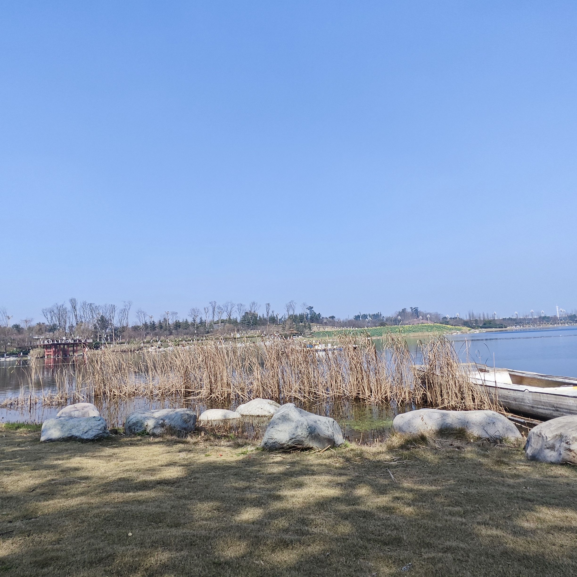 龙湖湿地公园旅行图片 1