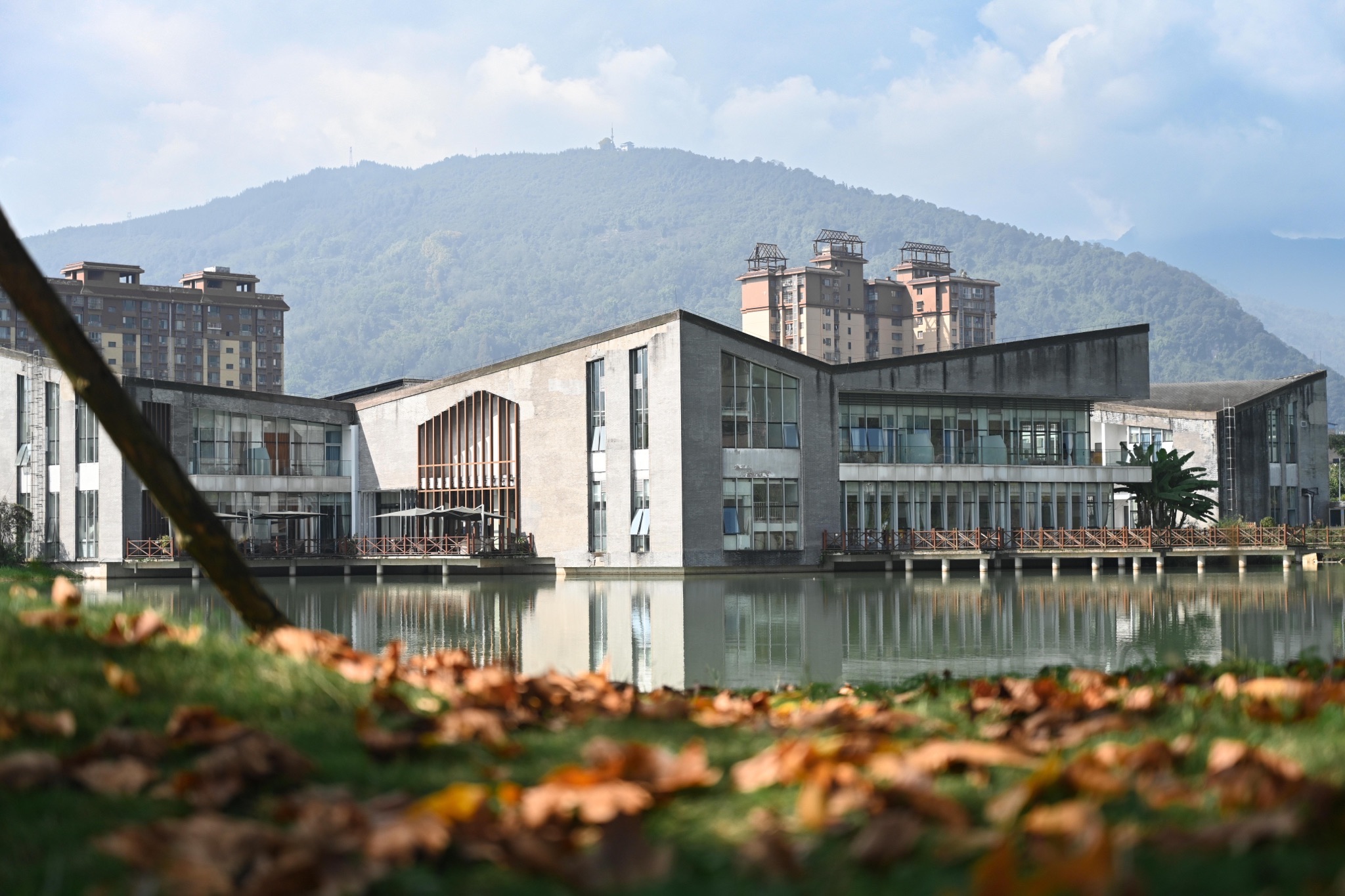 慈朗湖湿地公园