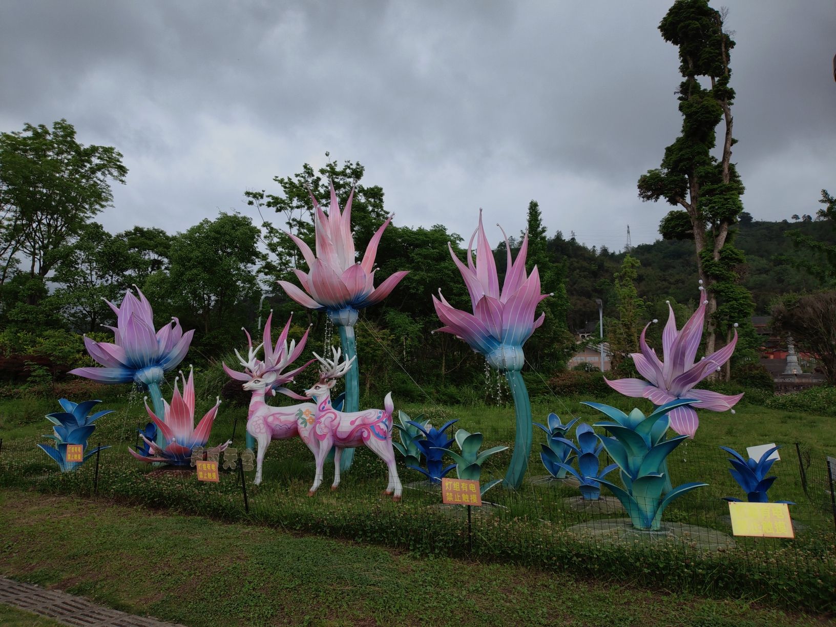 慈朗湖湿地公园旅行图片 3
