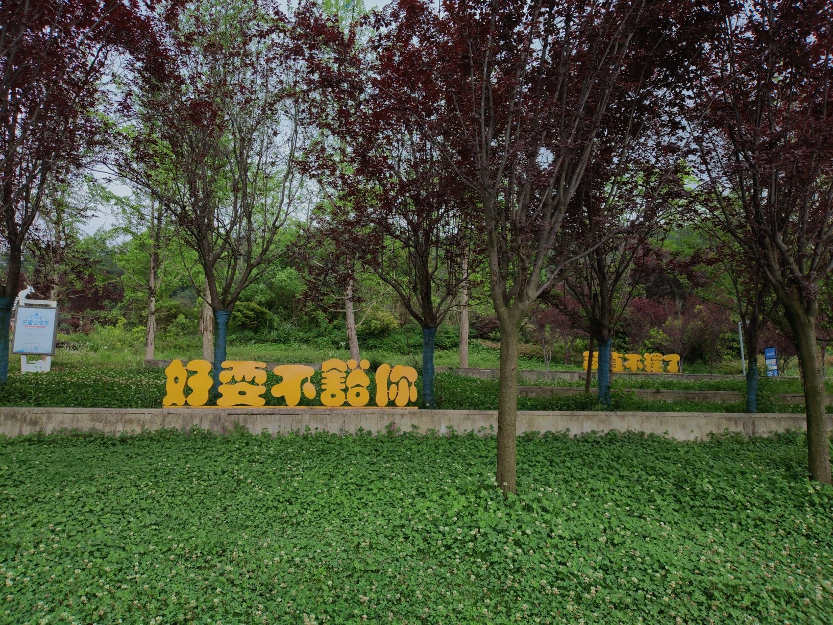 慈朗湖湿地公园旅行图片 2
