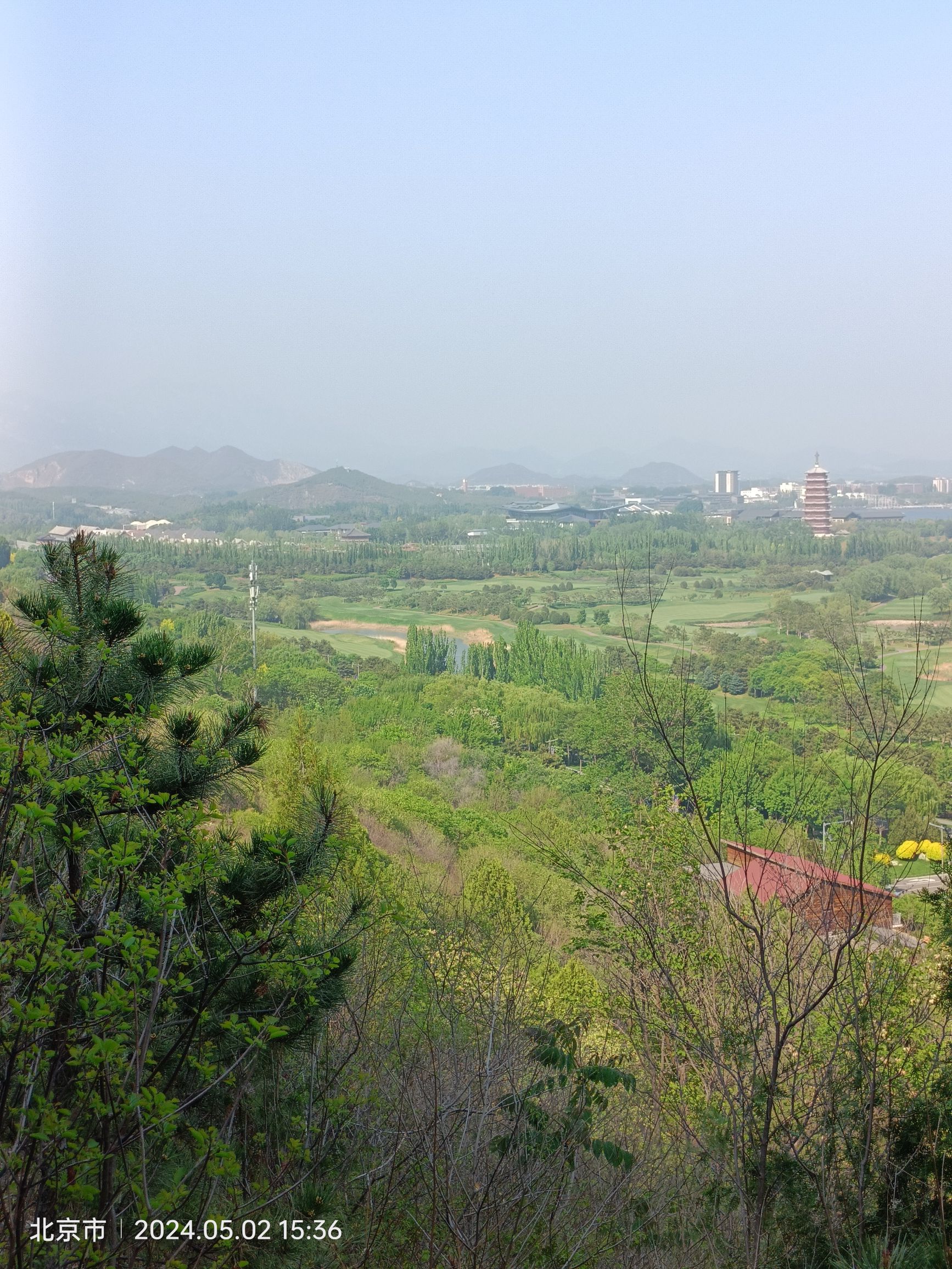 聆雁回鸣旅行图片 3