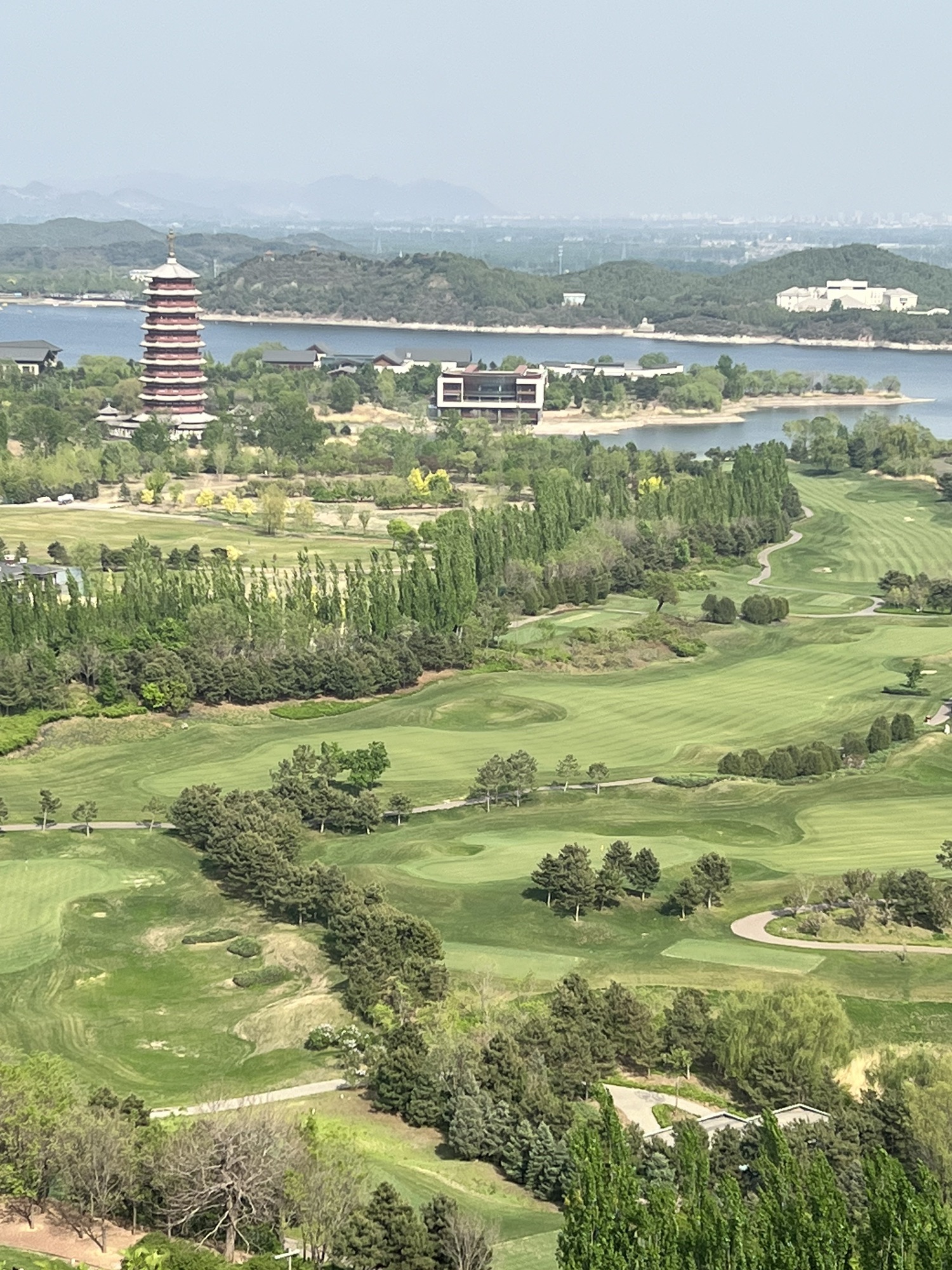 聆雁回鸣旅行图片 1