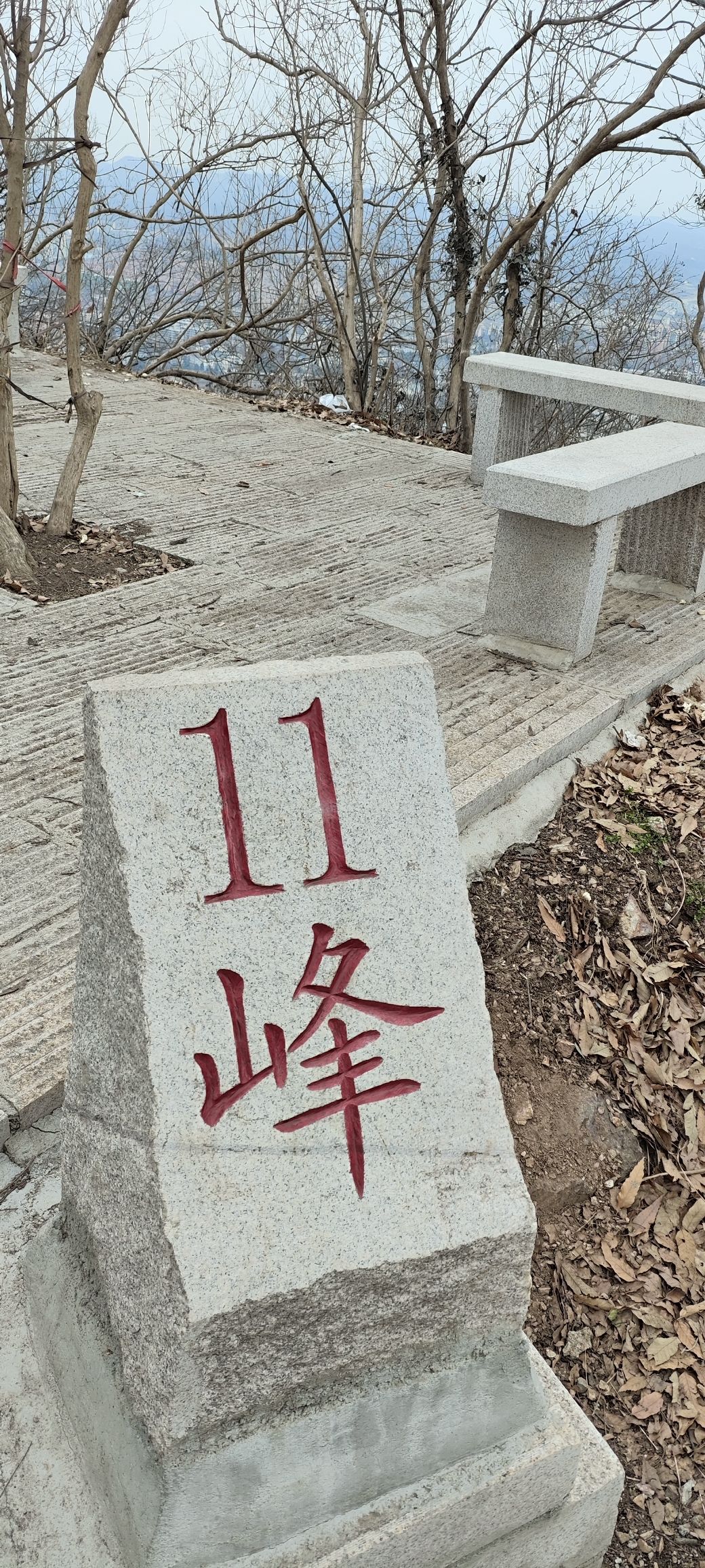 贤山旅行图片 3