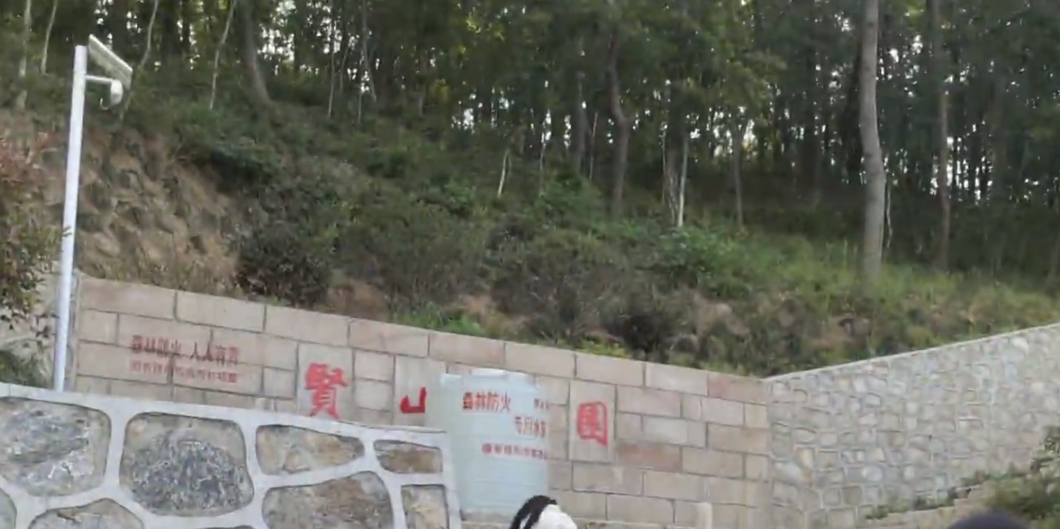 贤山旅行图片 2