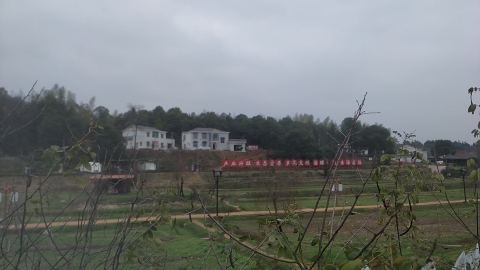 响水村百花园旅行图片 1