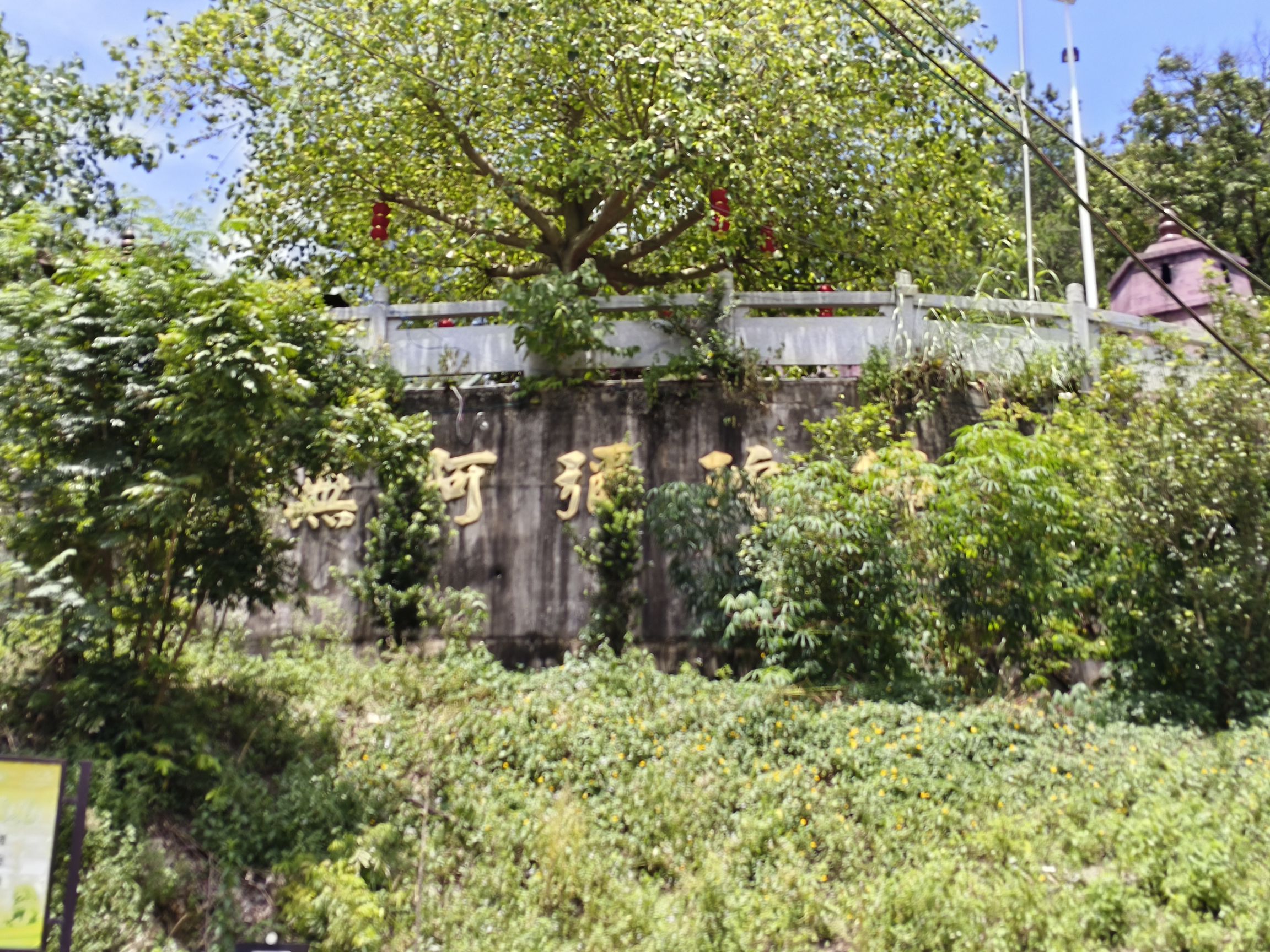 千松庵旅行图片 2