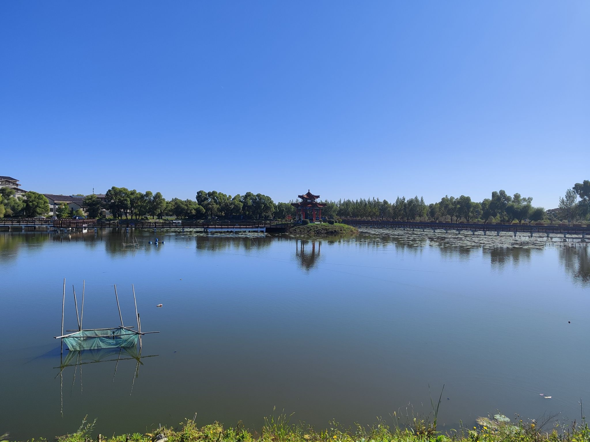 荷花湖旅行图片 1