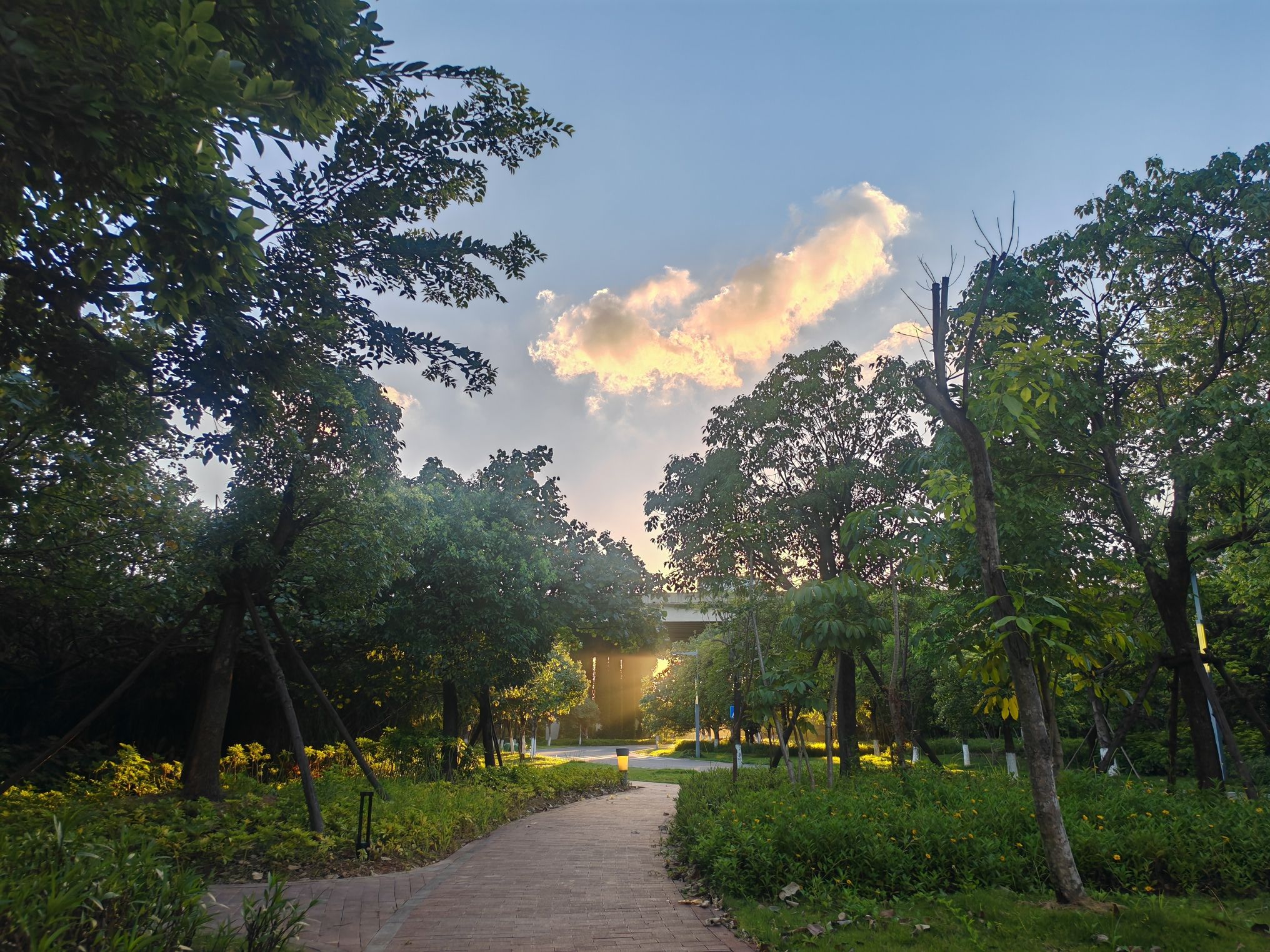 北滨江公园沉洲园旅行图片 2