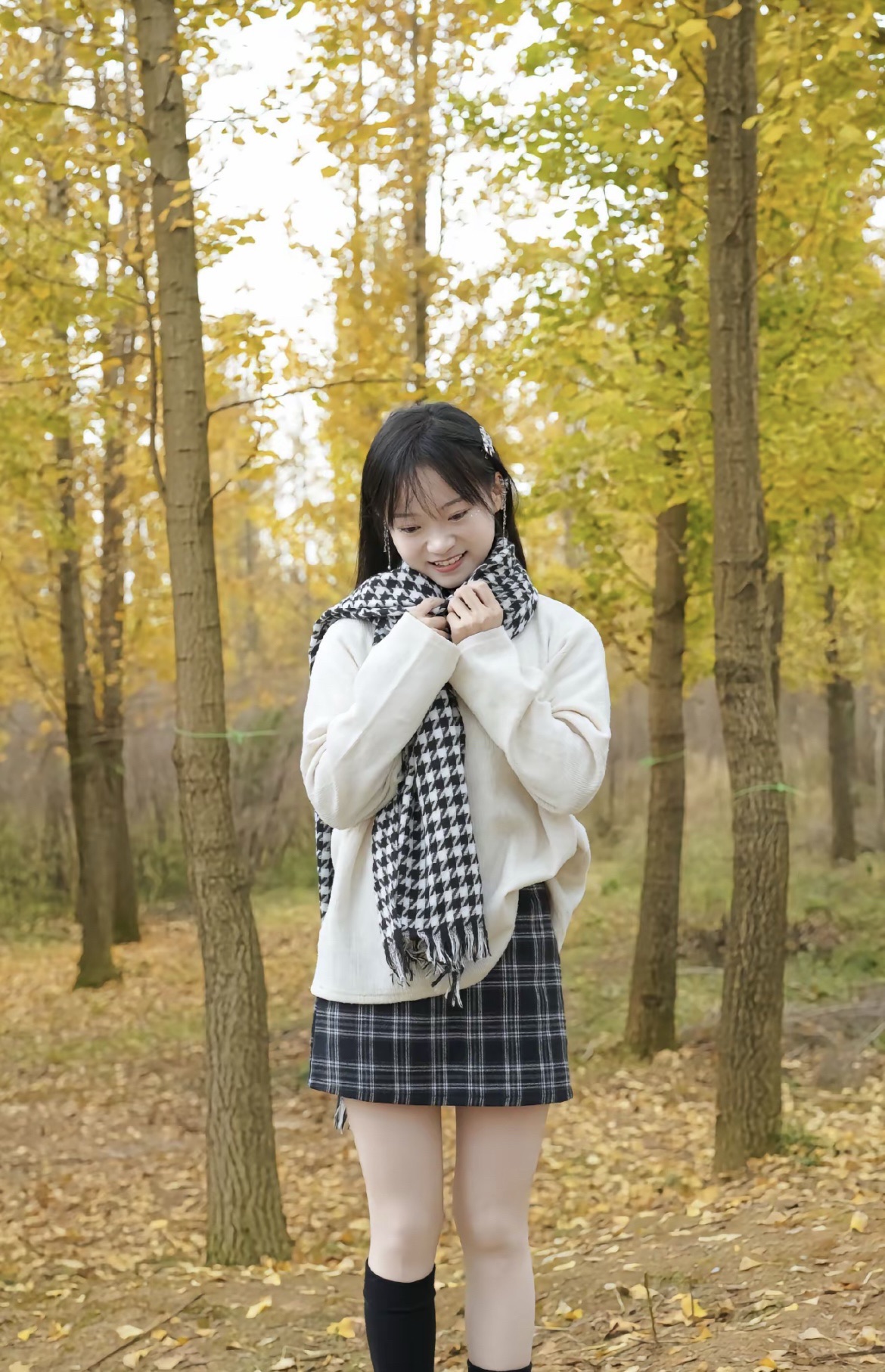 幸福村银杏树林旅行图片 3