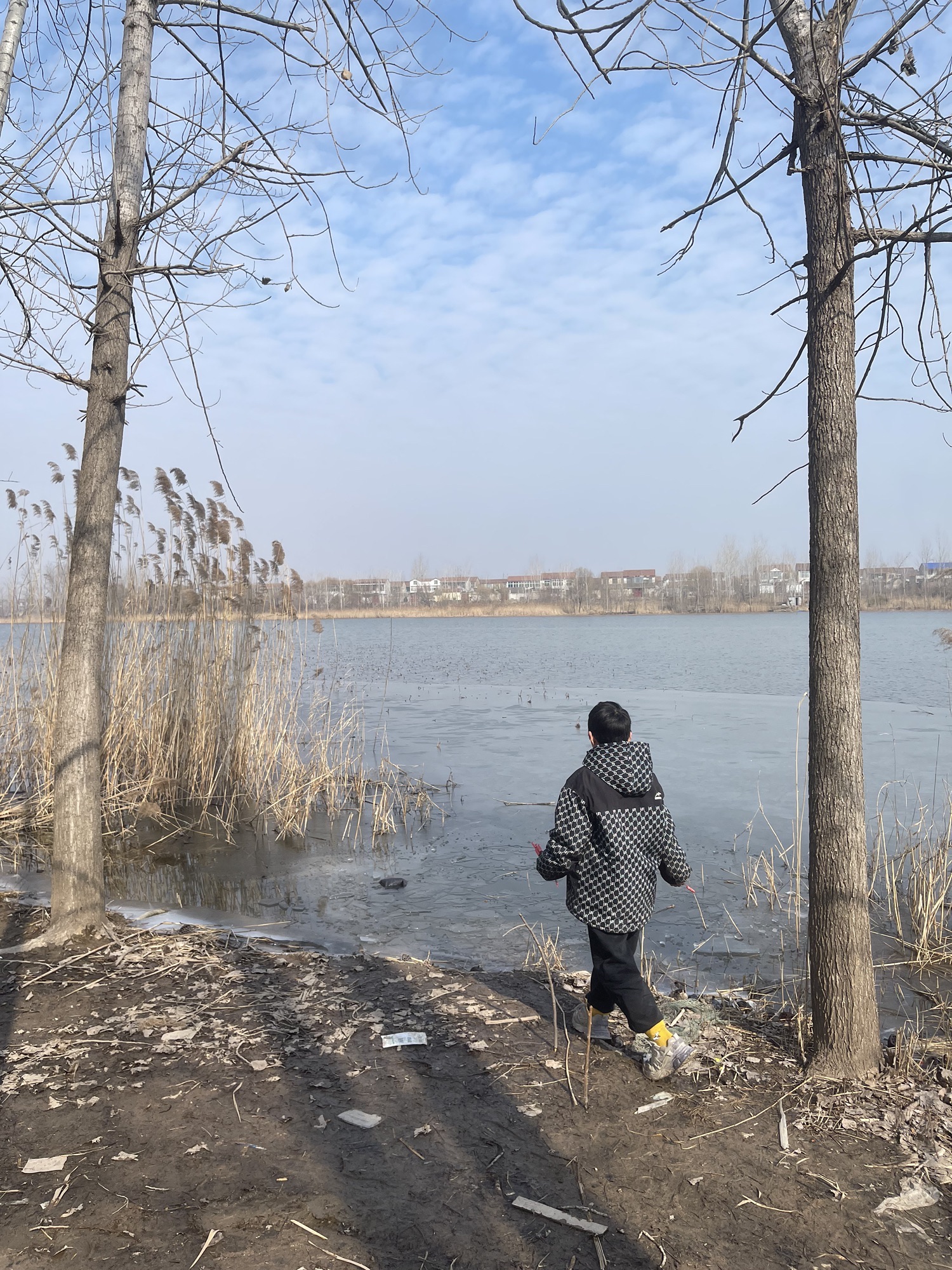 萧县黄河故道湿地公园旅行图片 1