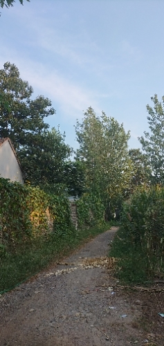 龙王庙