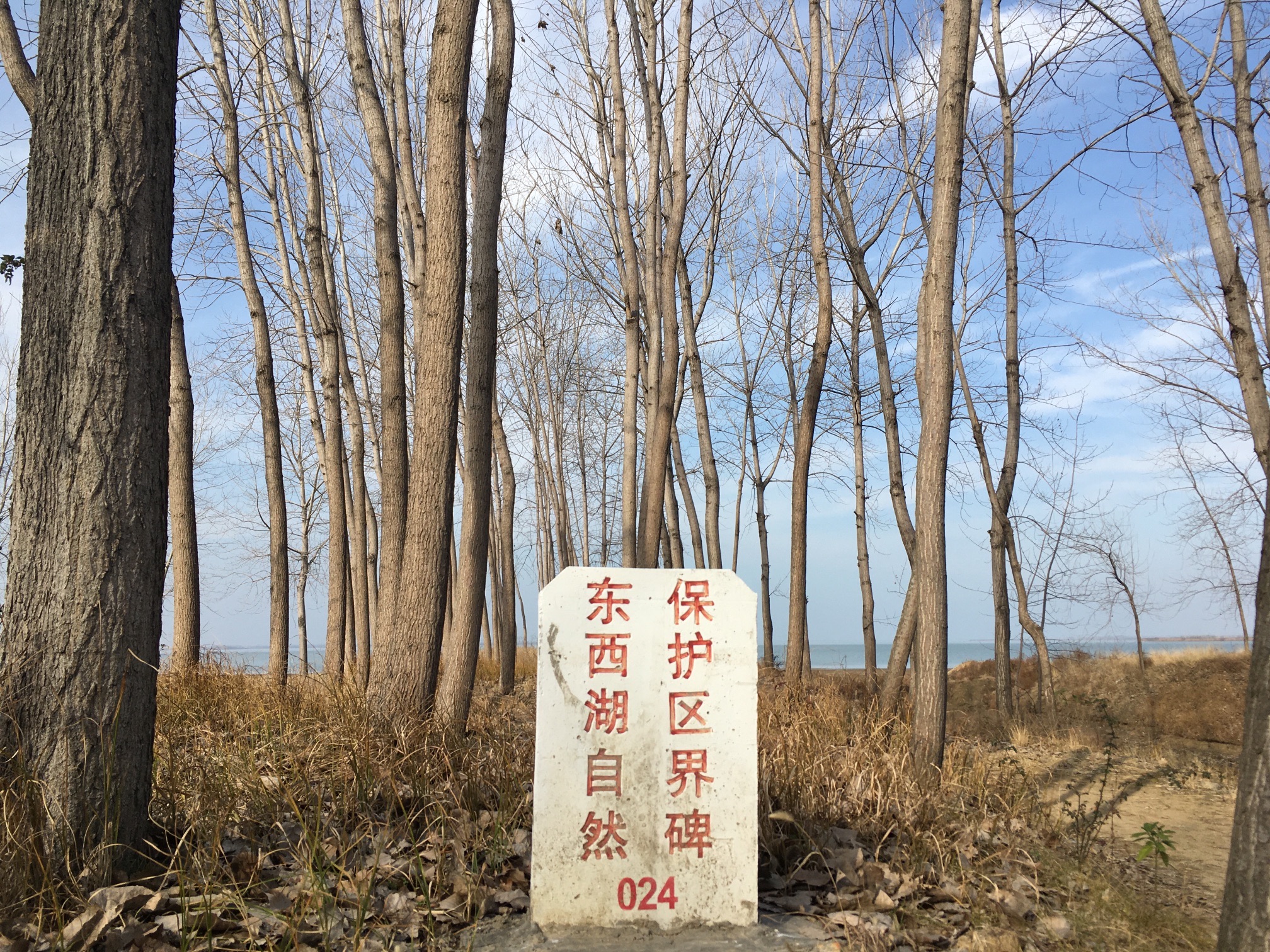 陈塔寺旅行图片 2